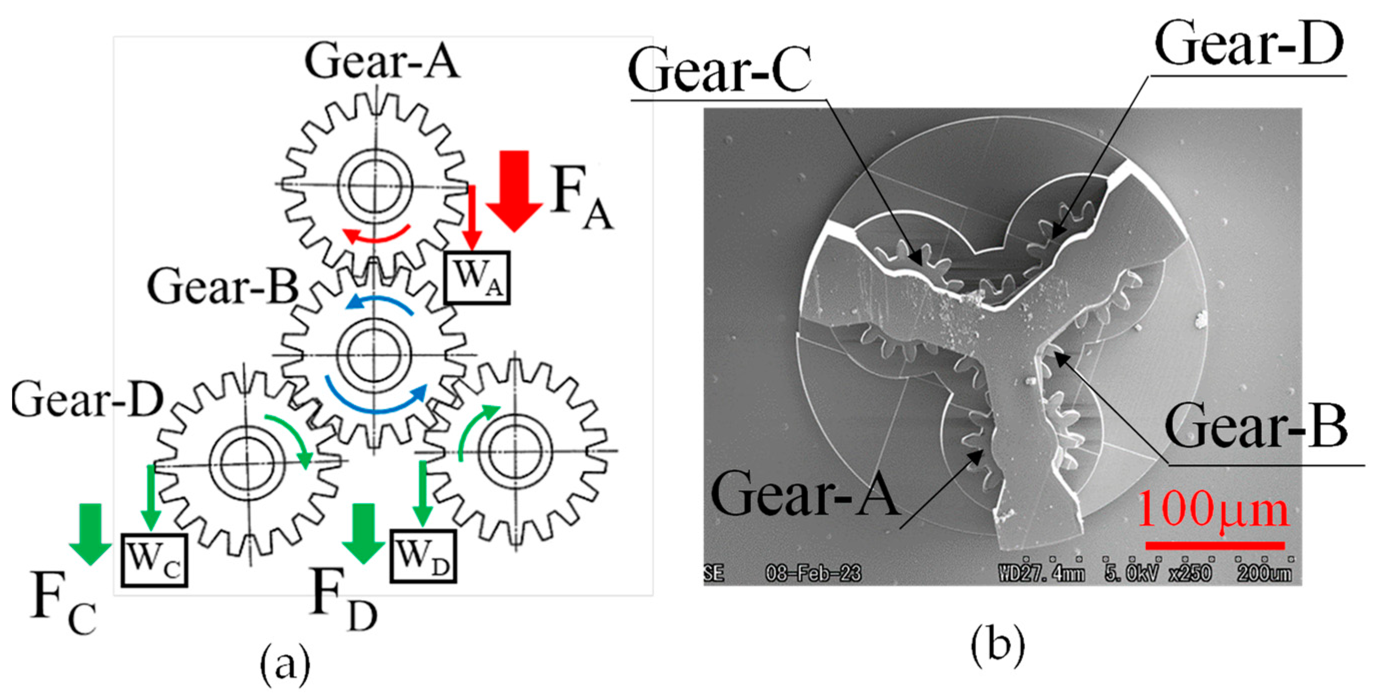 Micromachines 15 00284 g008