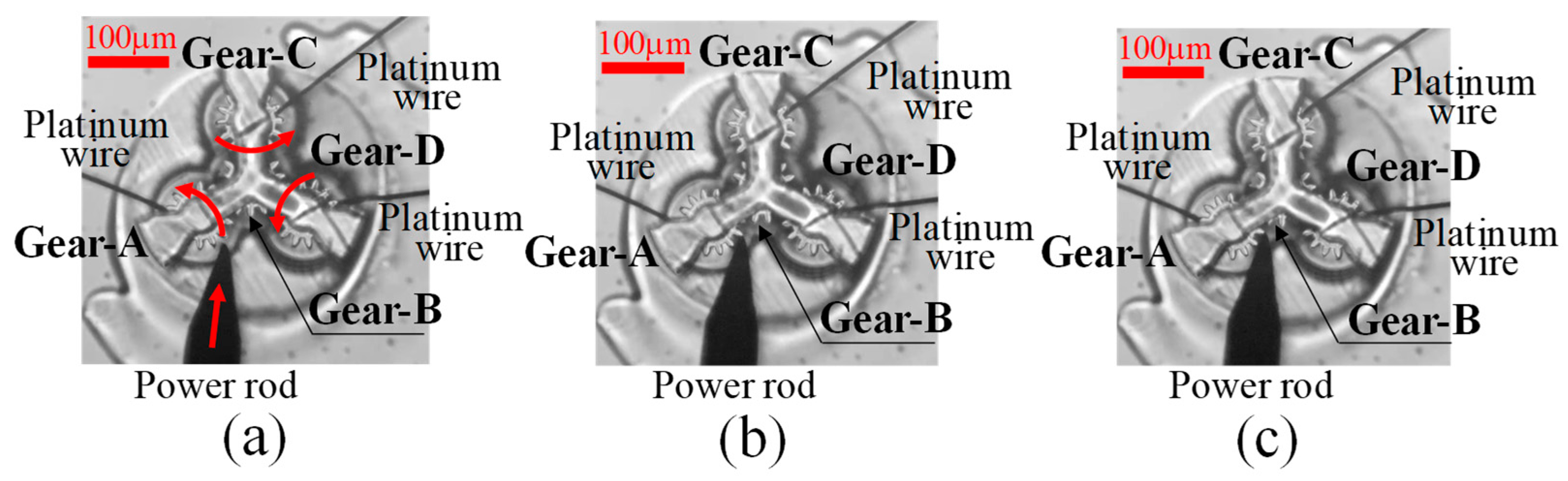 Micromachines 15 00284 g010