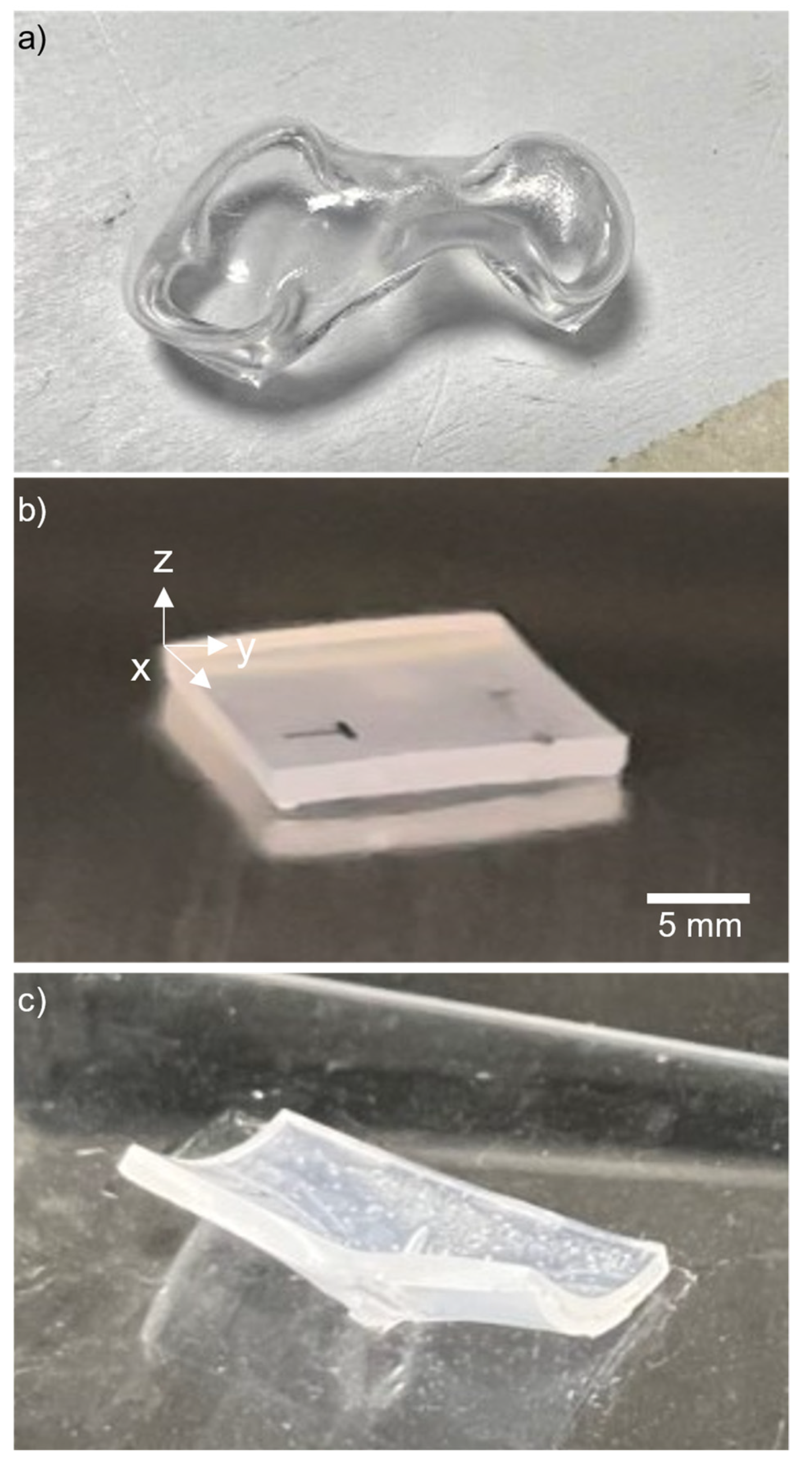 Micromachines 15 00308 g001