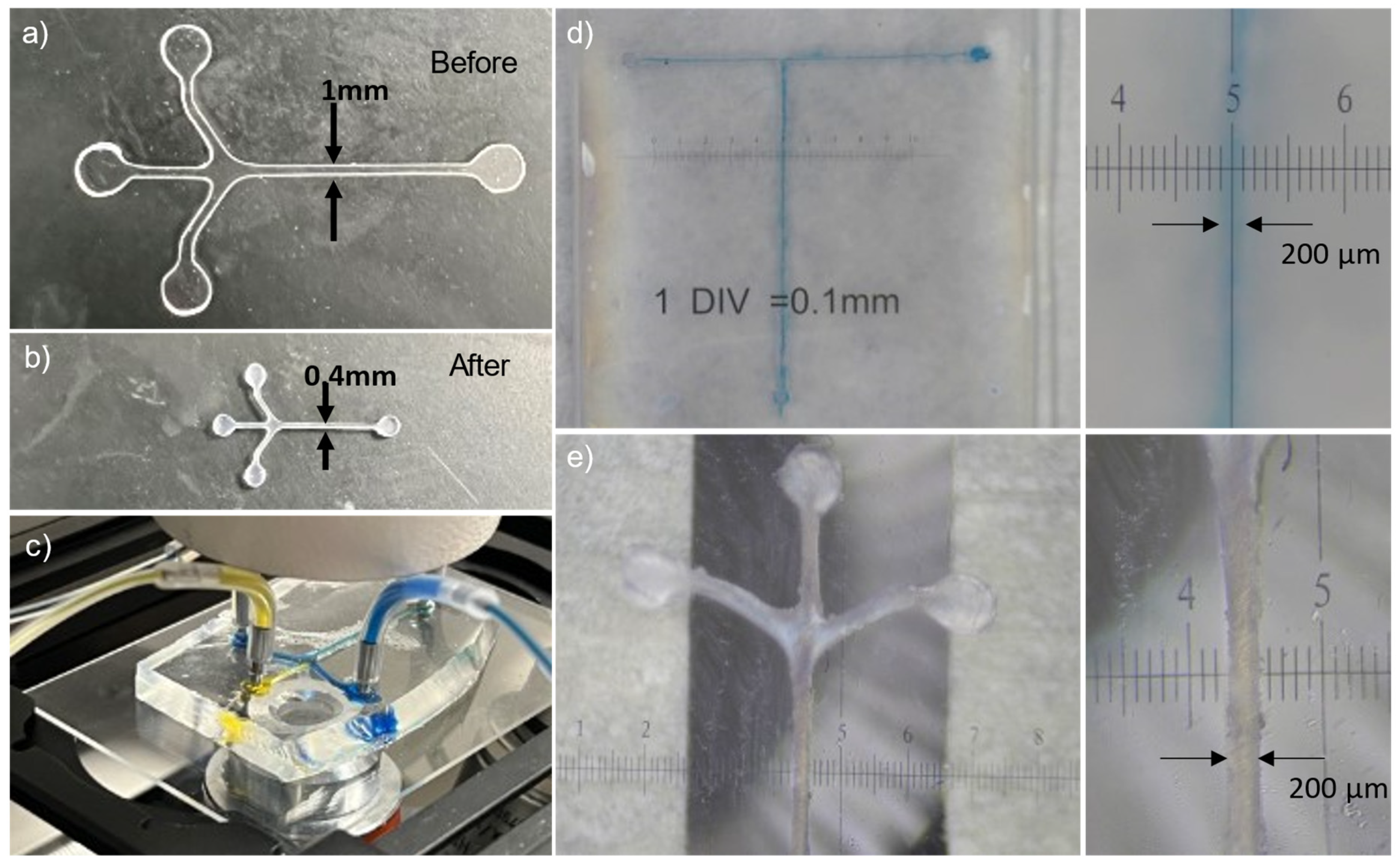 Micromachines 15 00308 g006