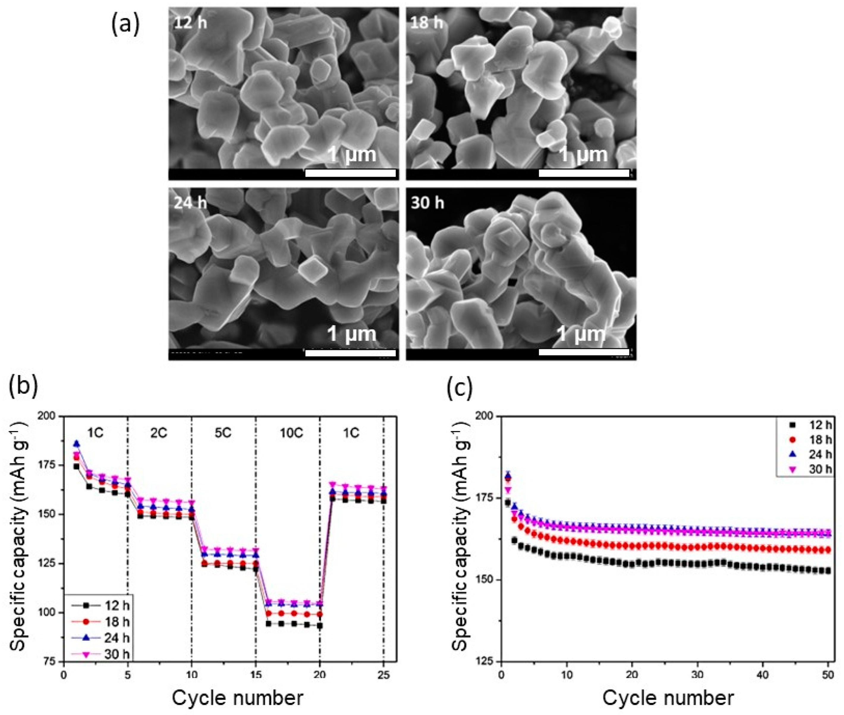 Micromachines 15 00310 g010