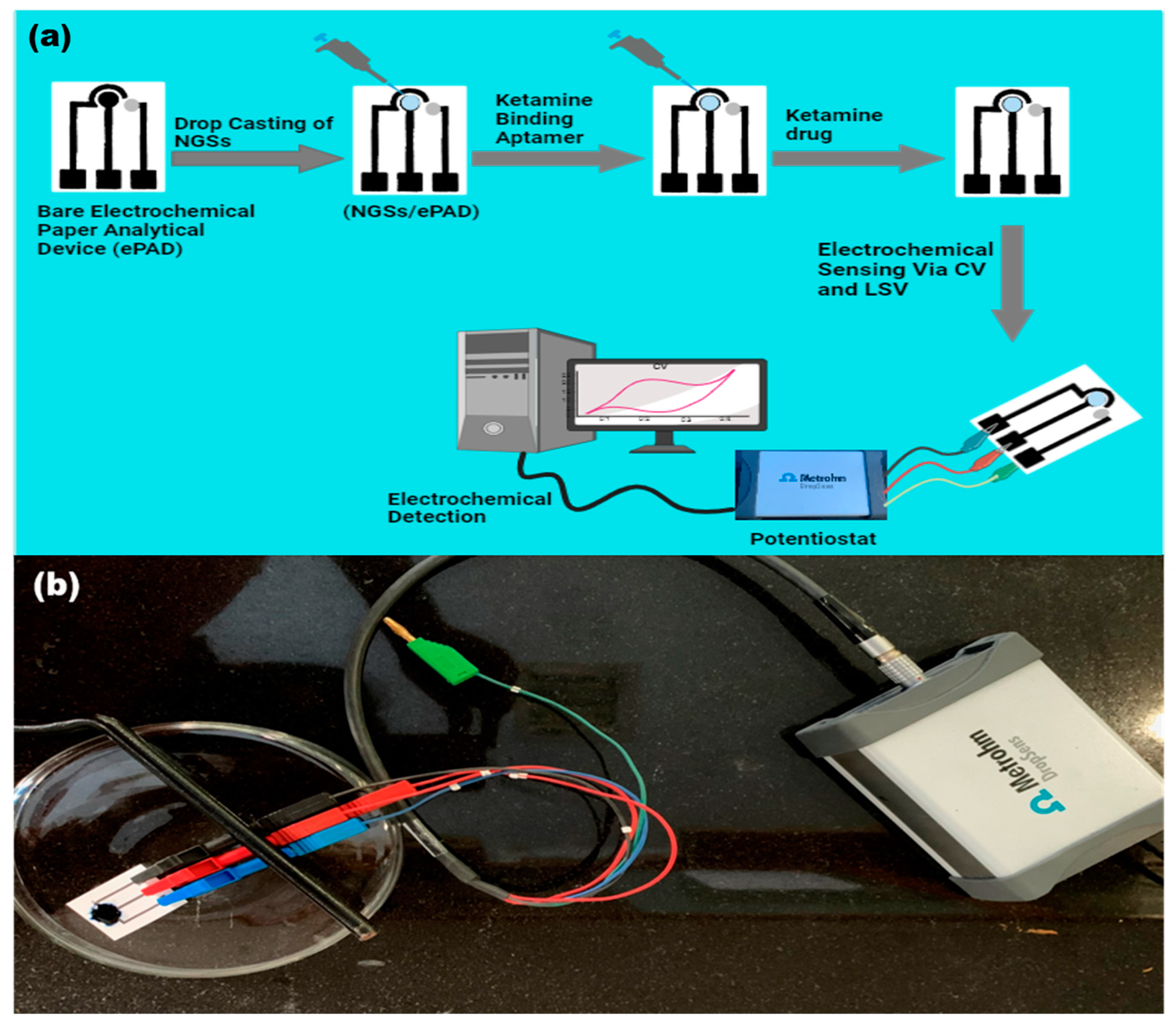 Micromachines 15 00312 g003