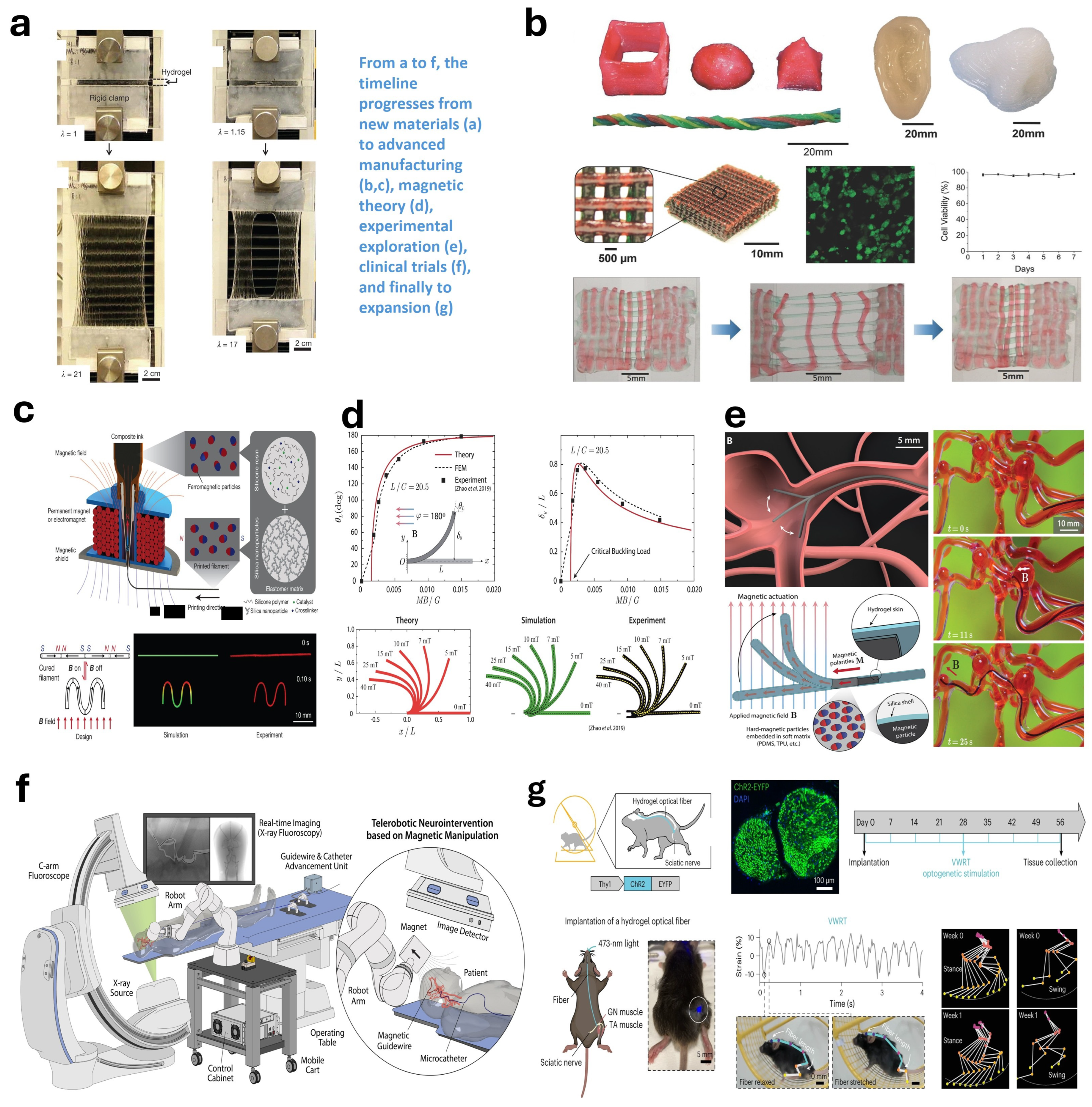 A multifunctional soft robotic shape display with high-speed actuation,  sensing, and control