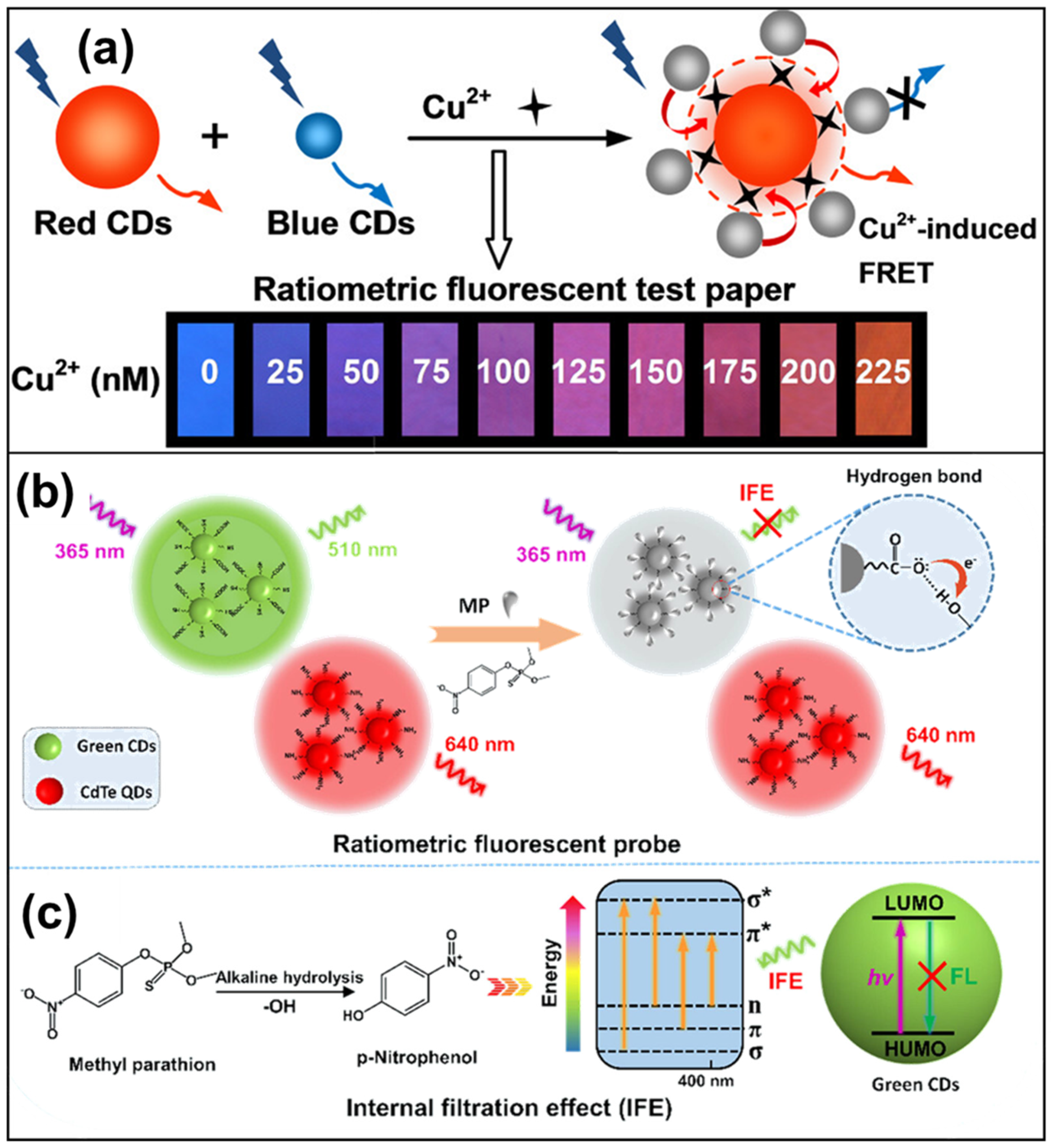 Micromachines 15 00331 g003