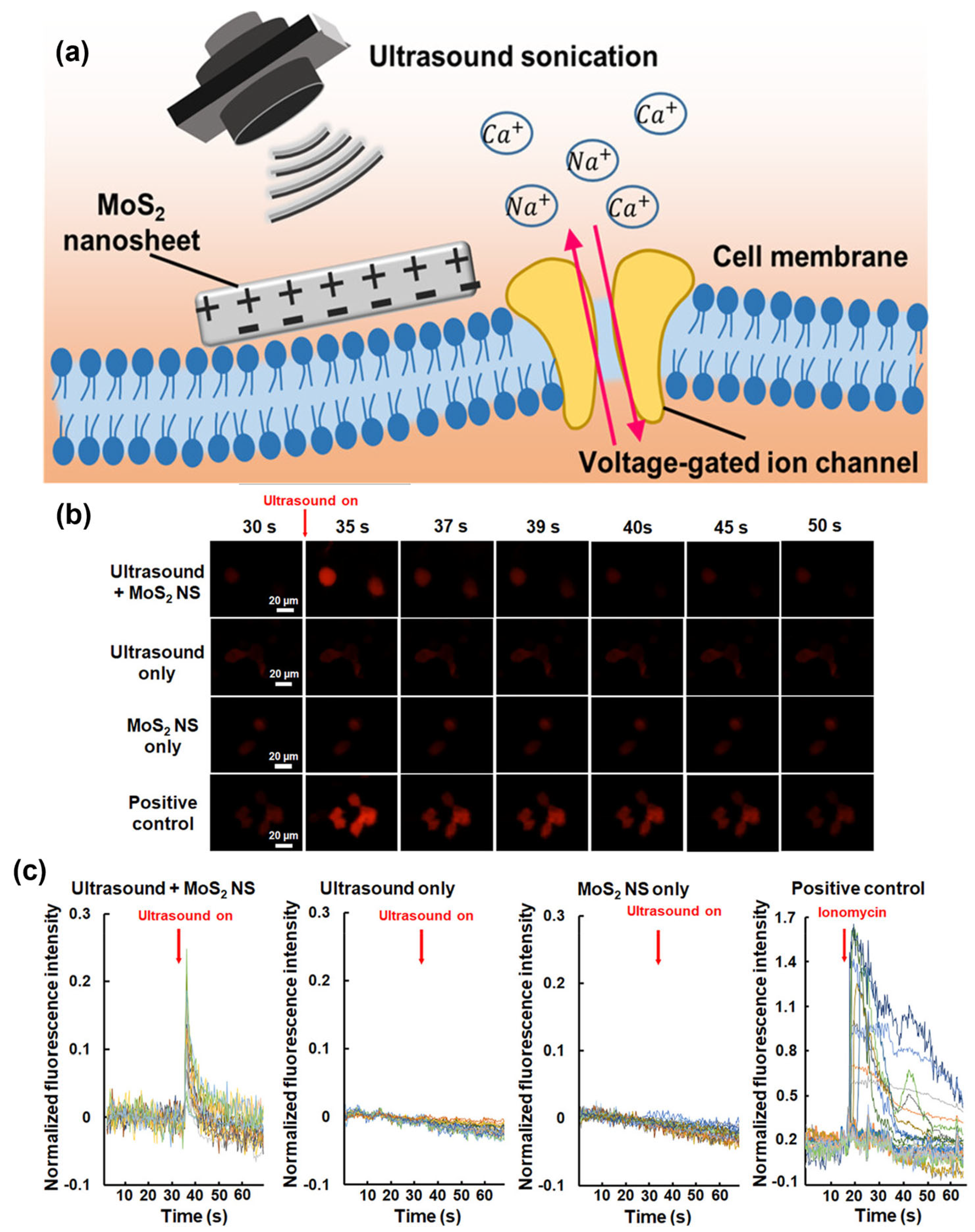 Micromachines 15 00349 g015