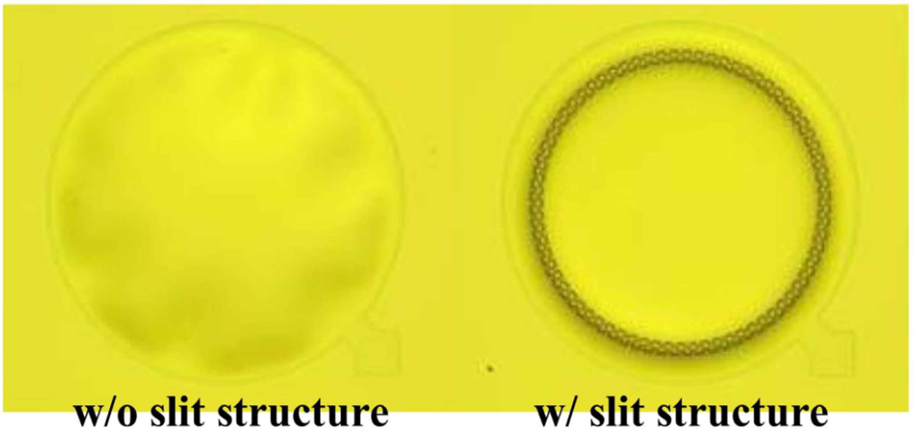 Micromachines 15 00352 g004