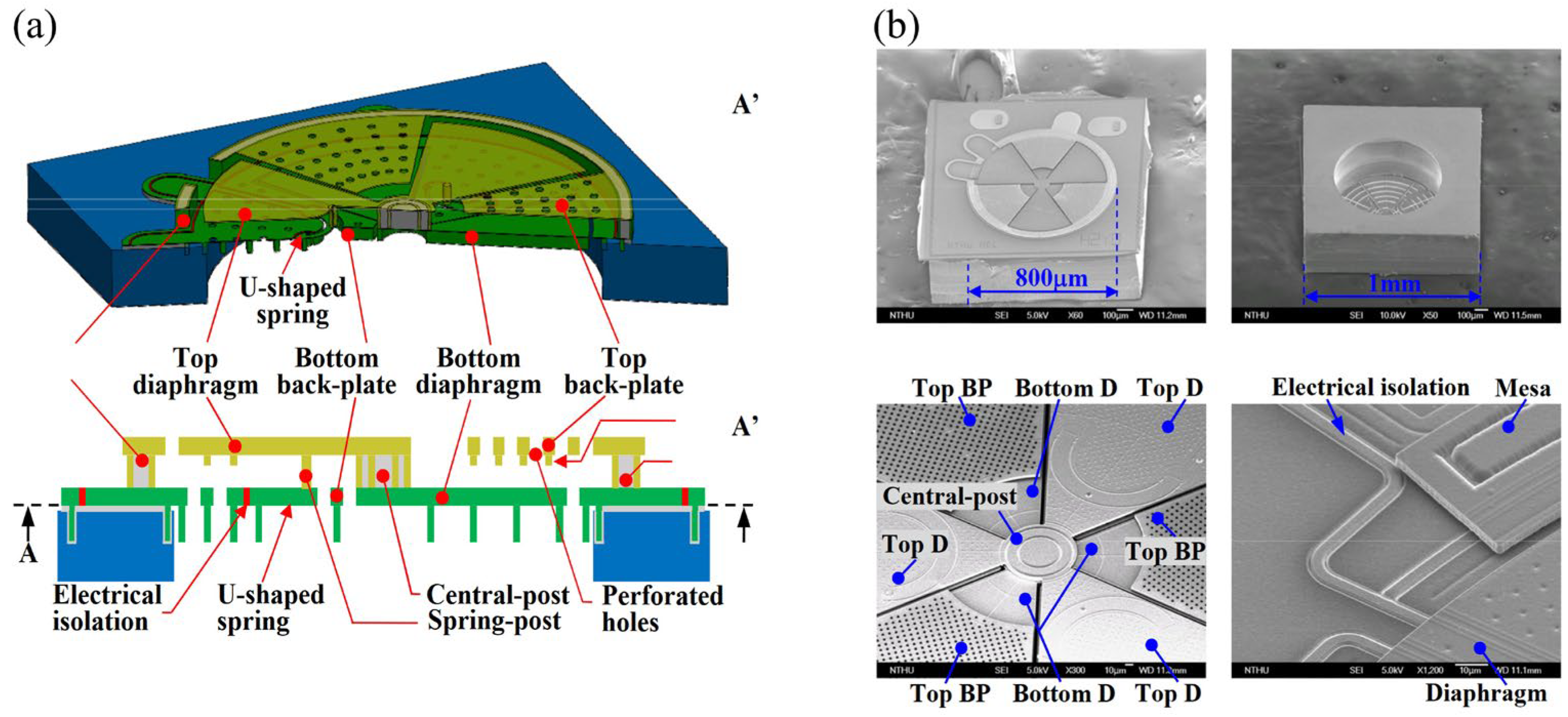 Micromachines 15 00352 g005
