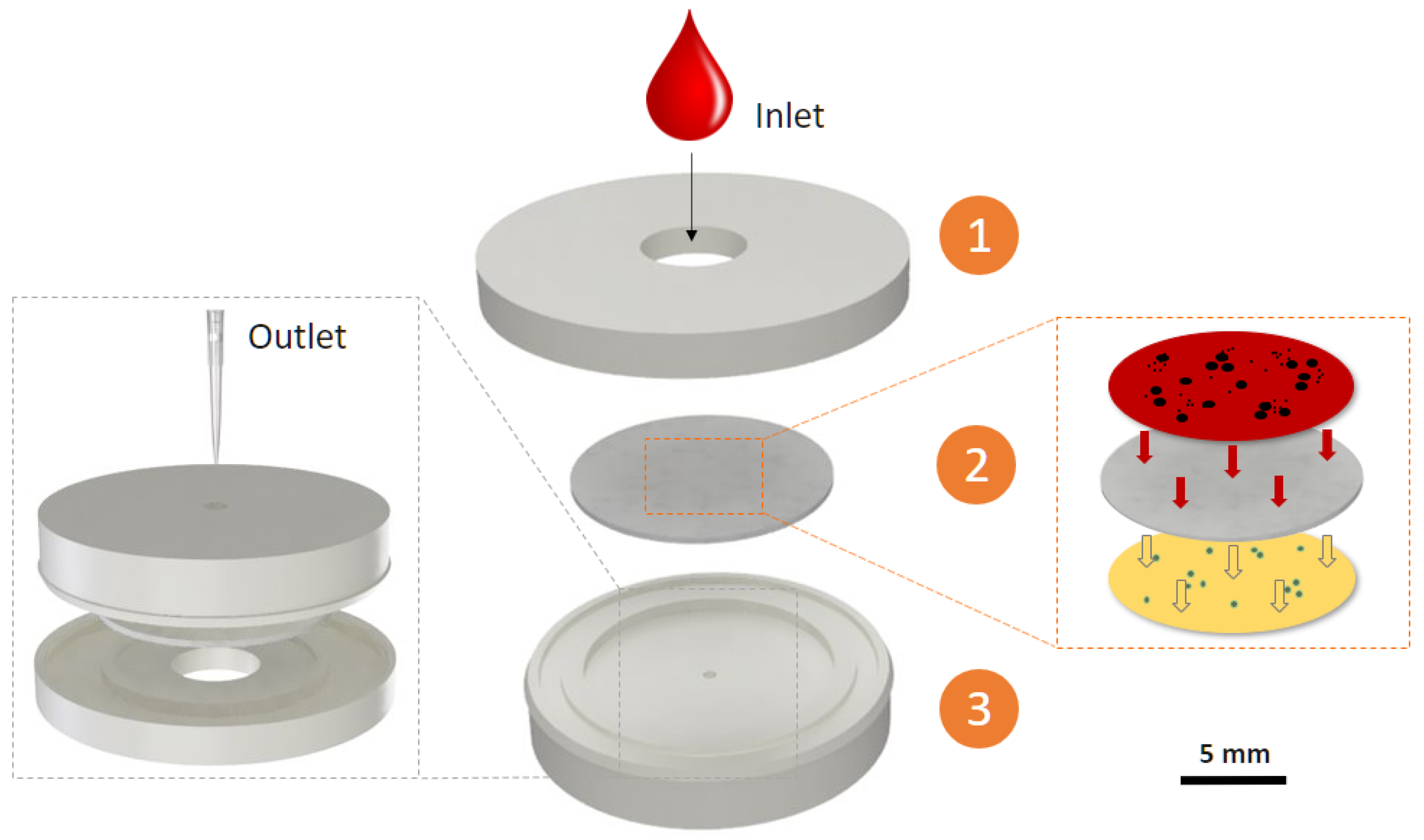 Plasma Point Hooks - 5 Pack