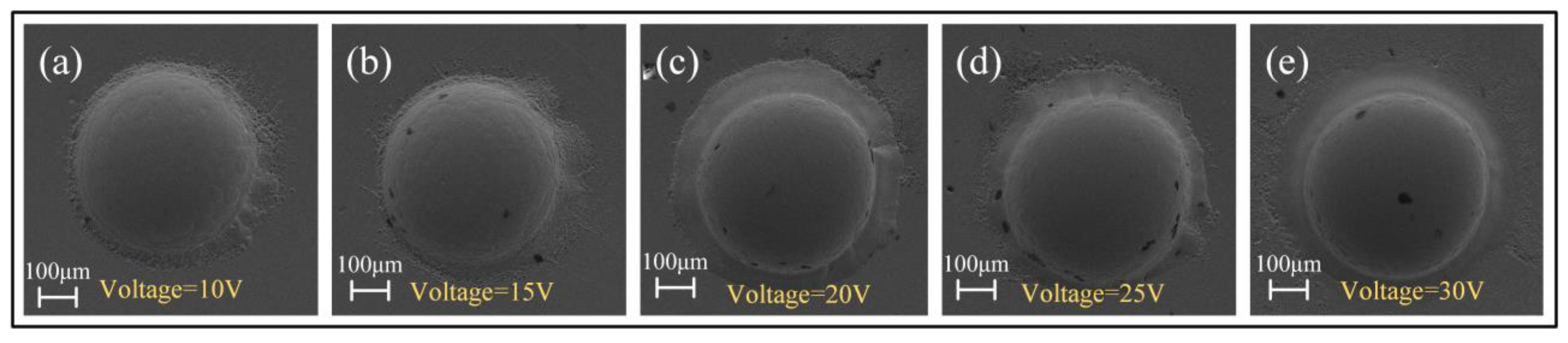 Micromachines 15 00375 g011