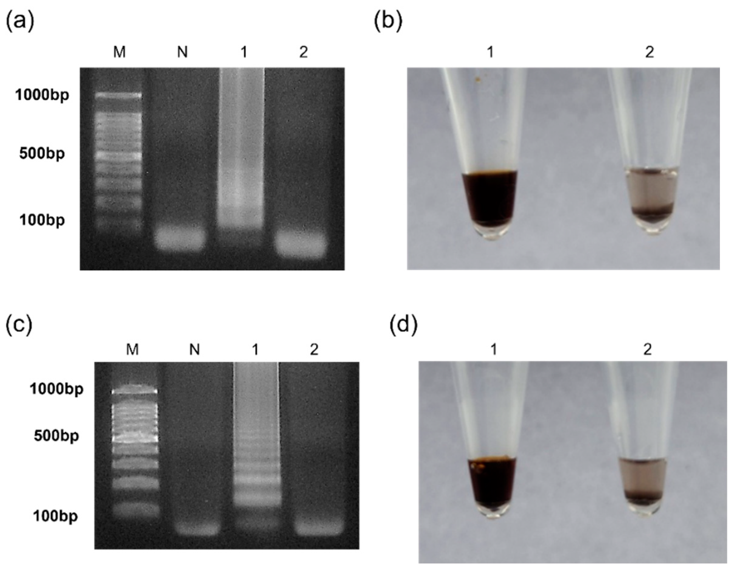 Micromachines 15 00378 g006