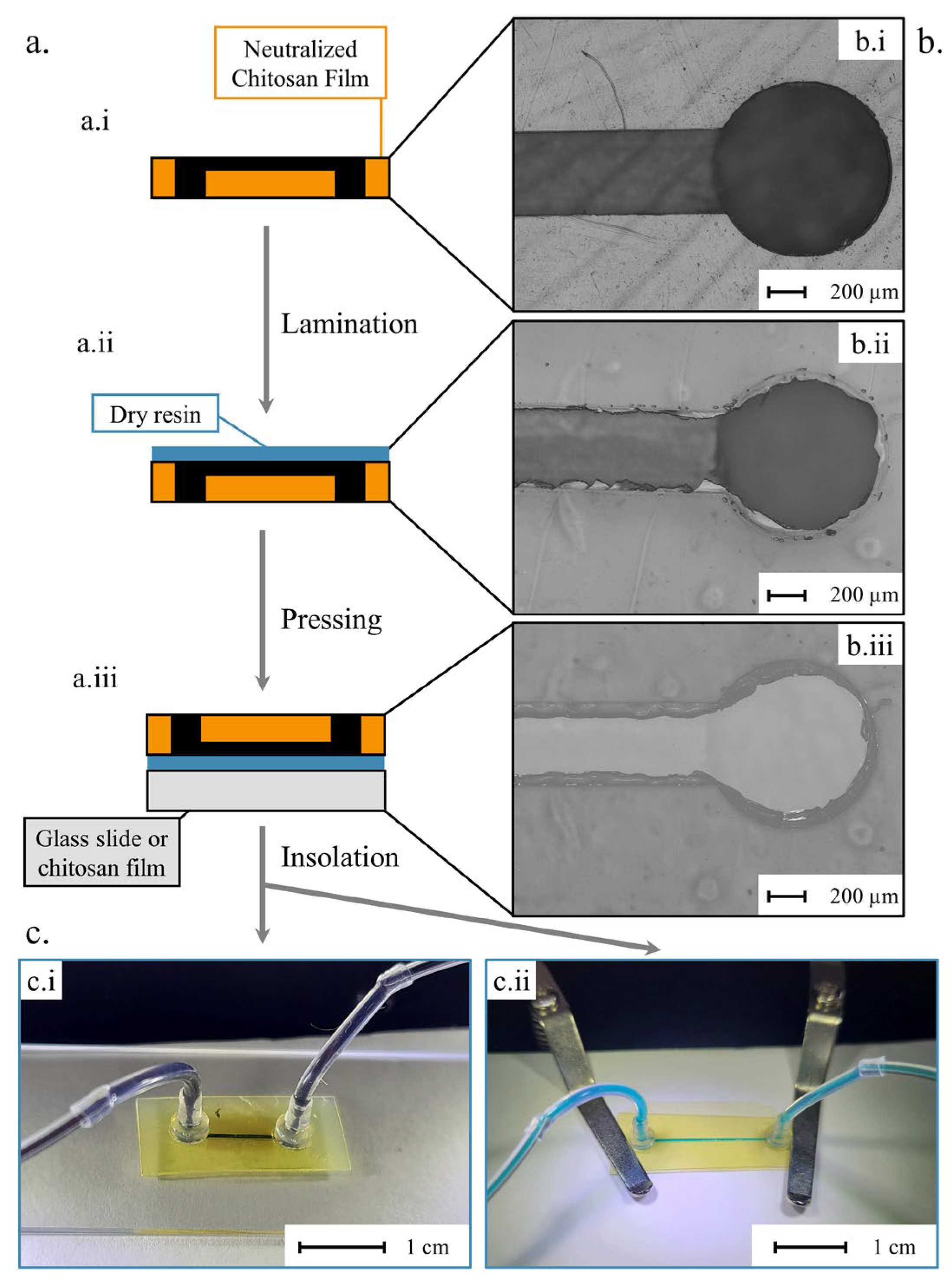 Micromachines 15 00379 g005