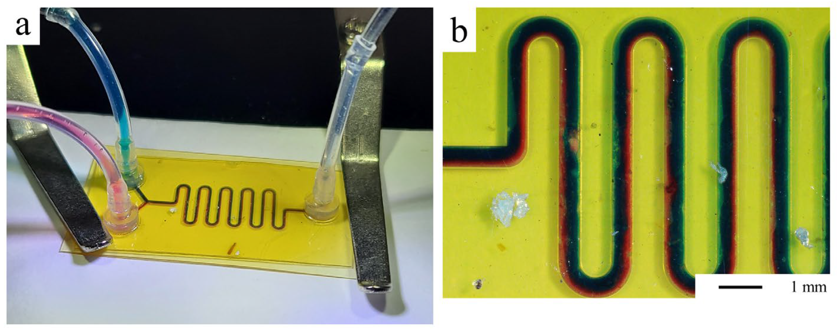 Micromachines 15 00379 g006