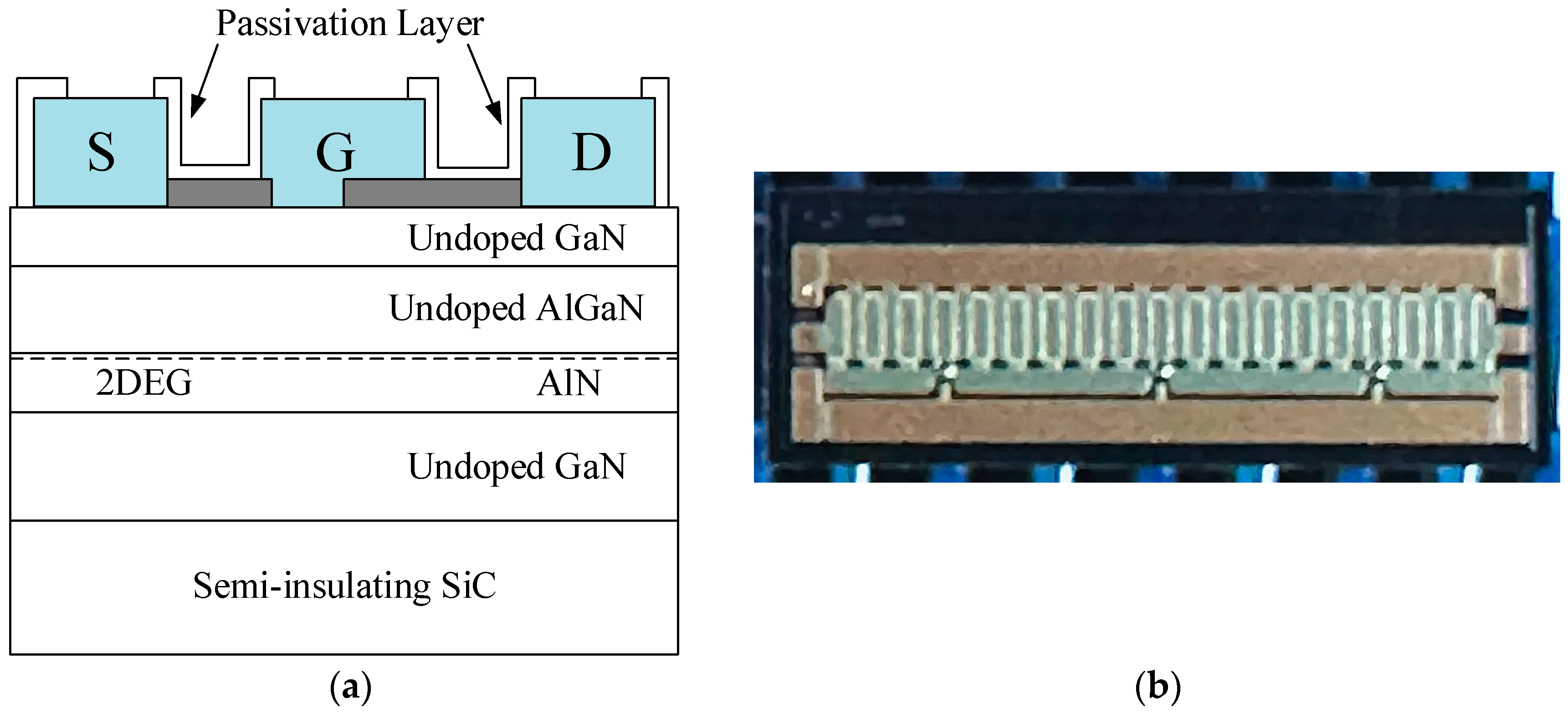Micromachines 15 00388 g003