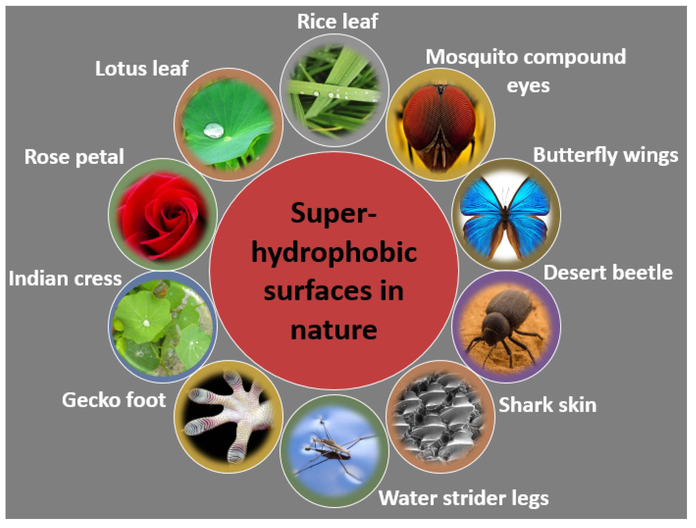 Micromachines 15 00391 g003