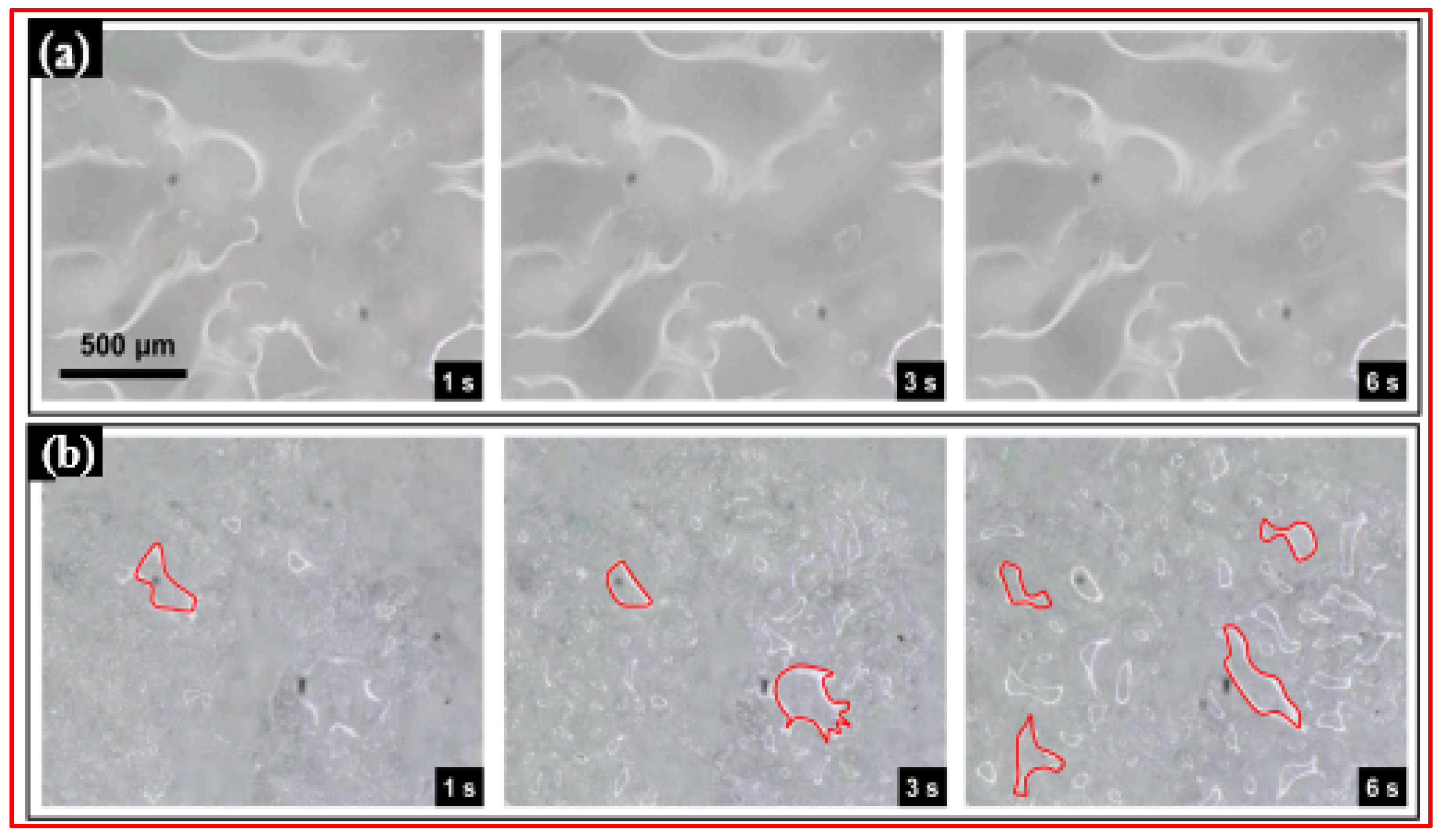 Micromachines 15 00391 g024