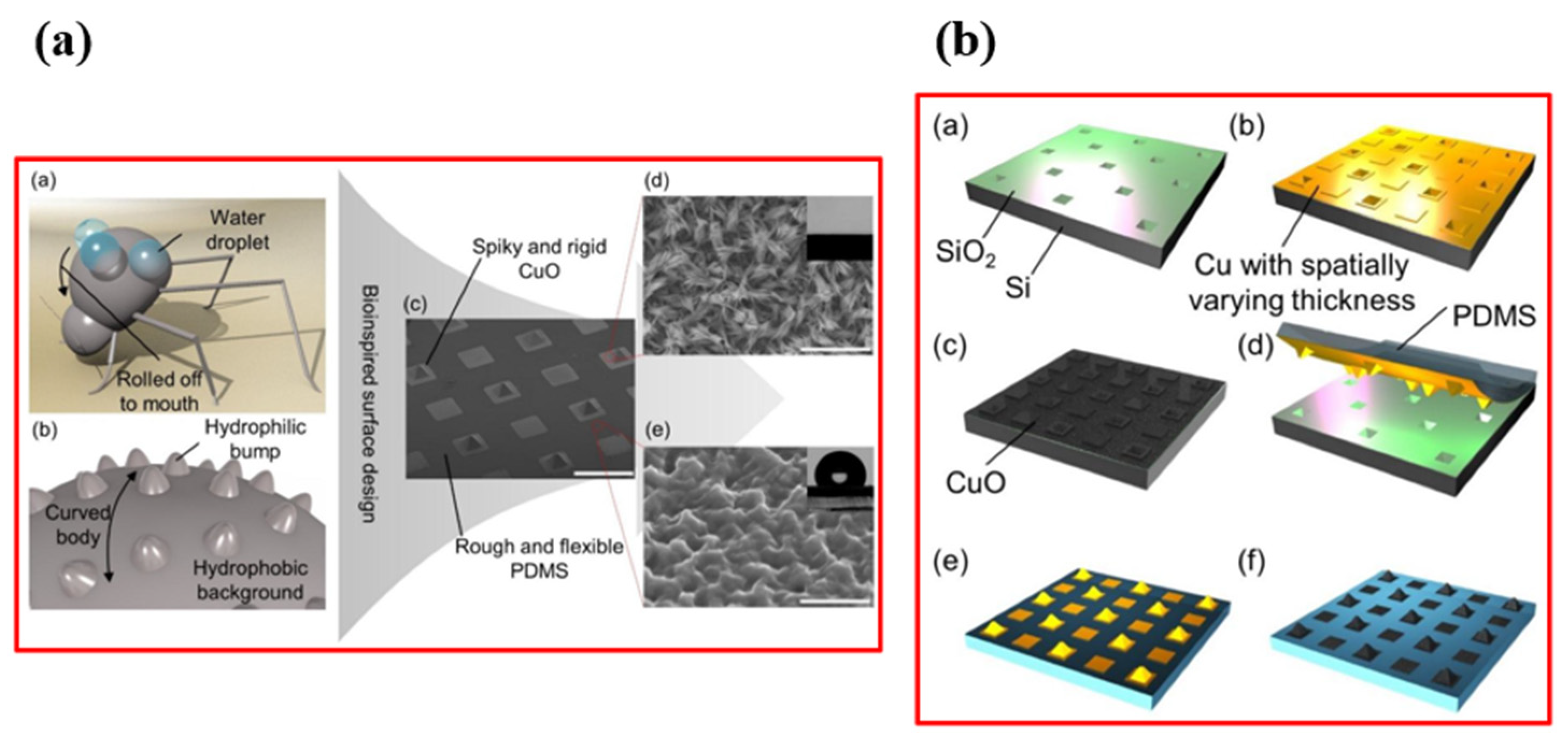 Micromachines 15 00391 g030