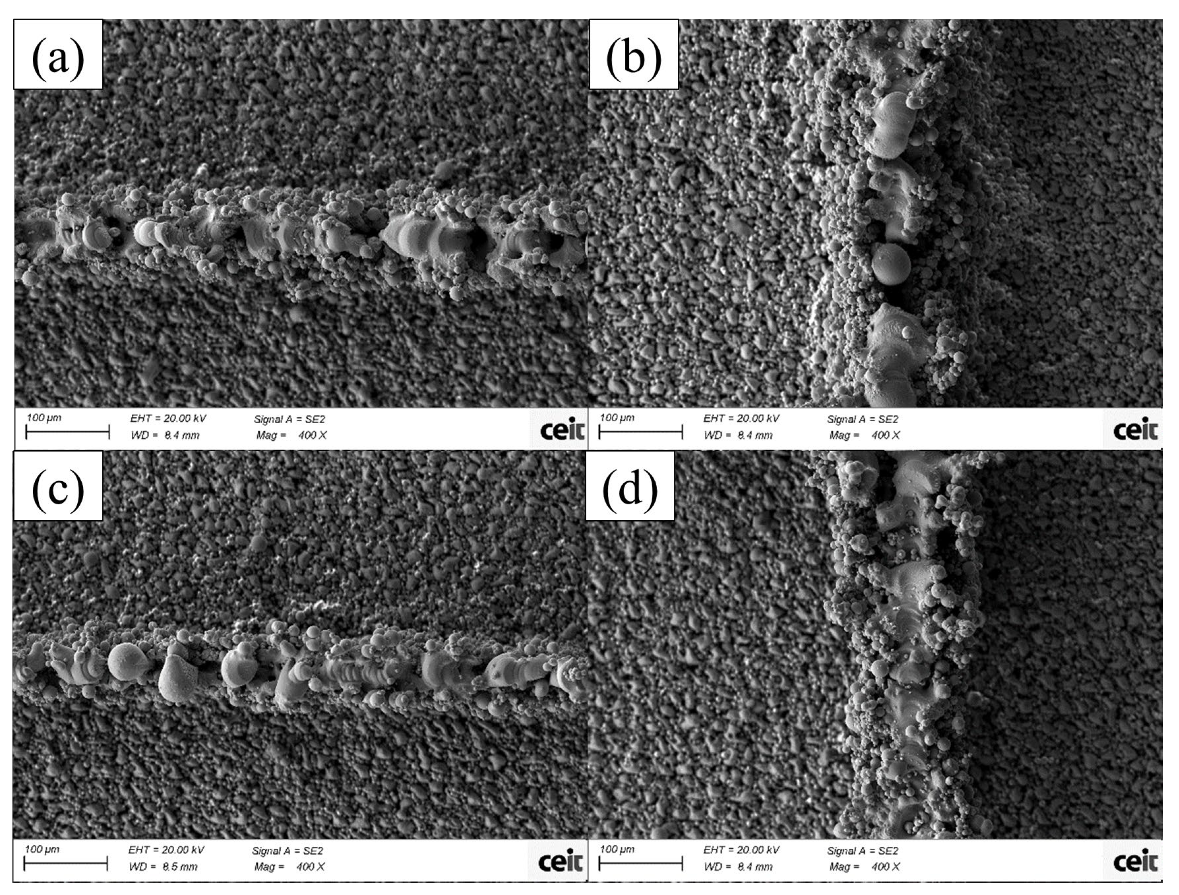 Micromachines 15 00444 g005