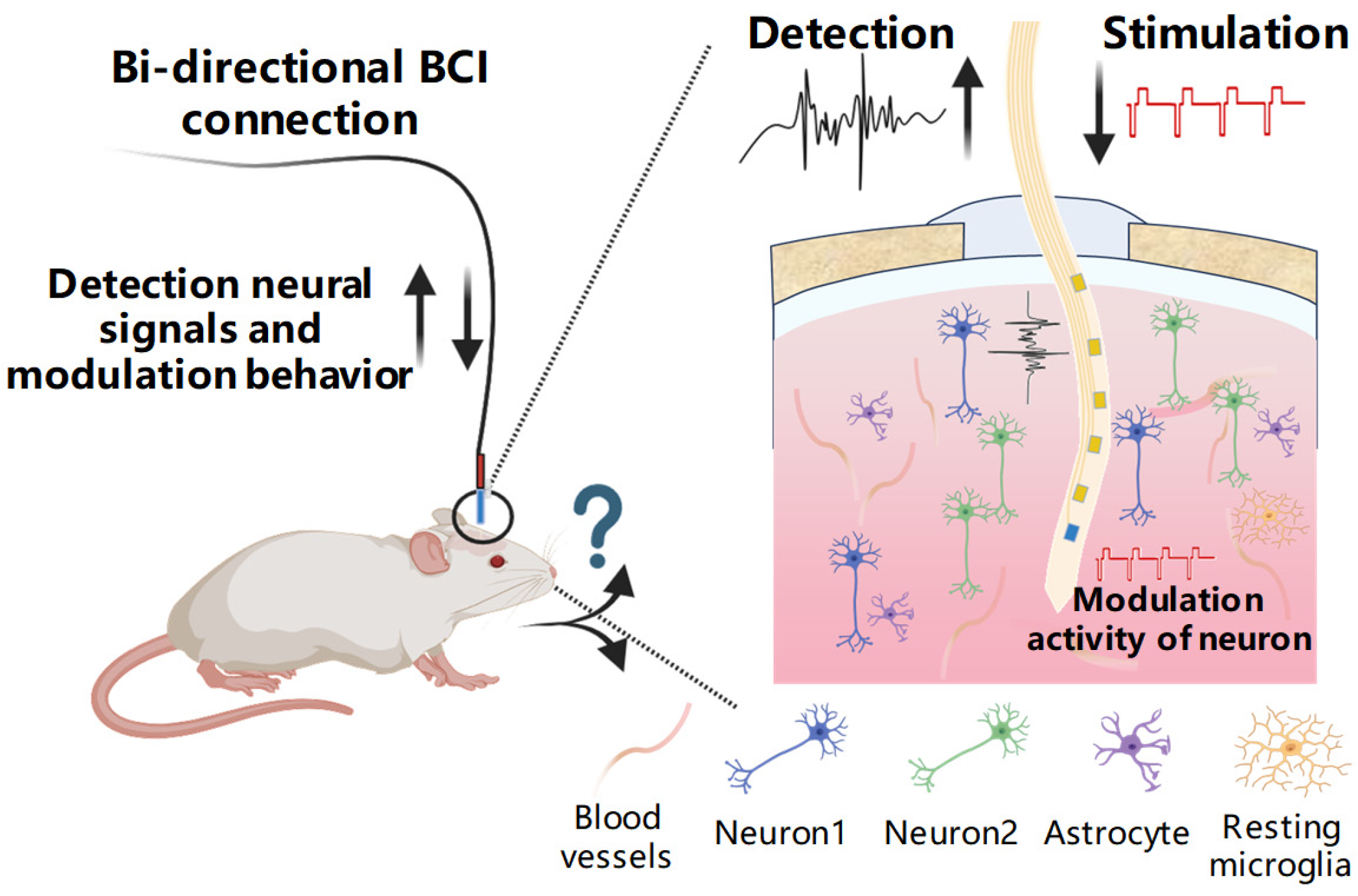 Micromachines 15 00447 g006