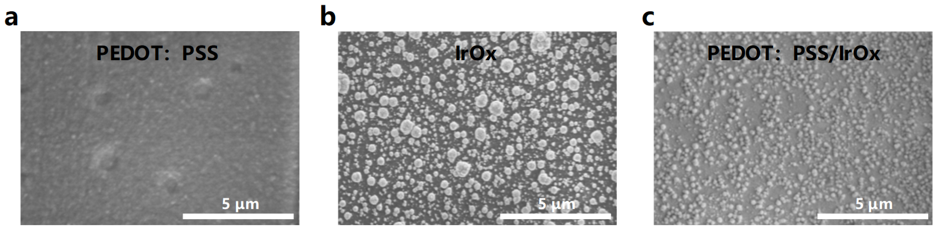 Micromachines 15 00447 g007