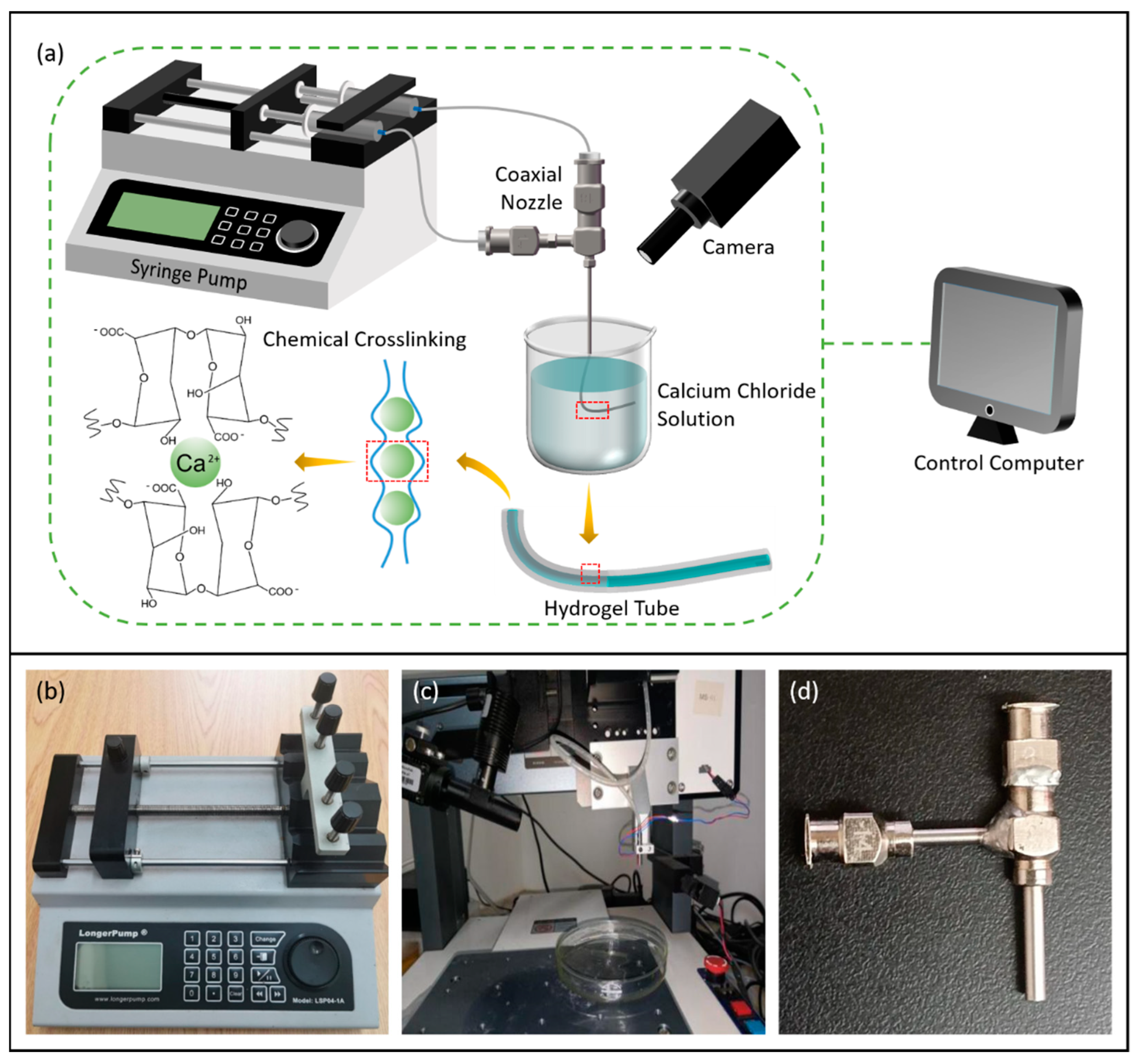 Micromachines 15 00463 g007