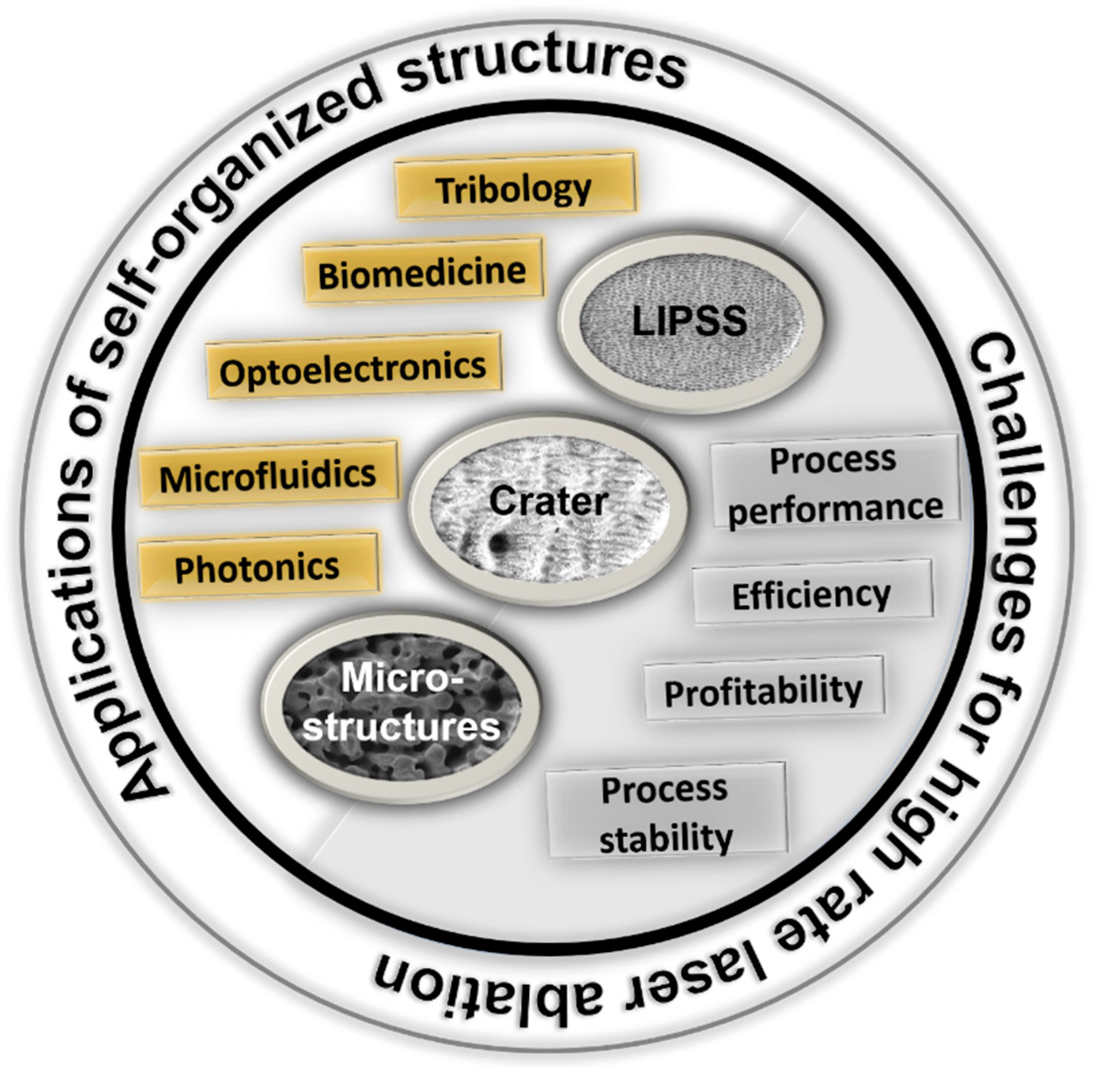 Micromachines 15 00491 g001