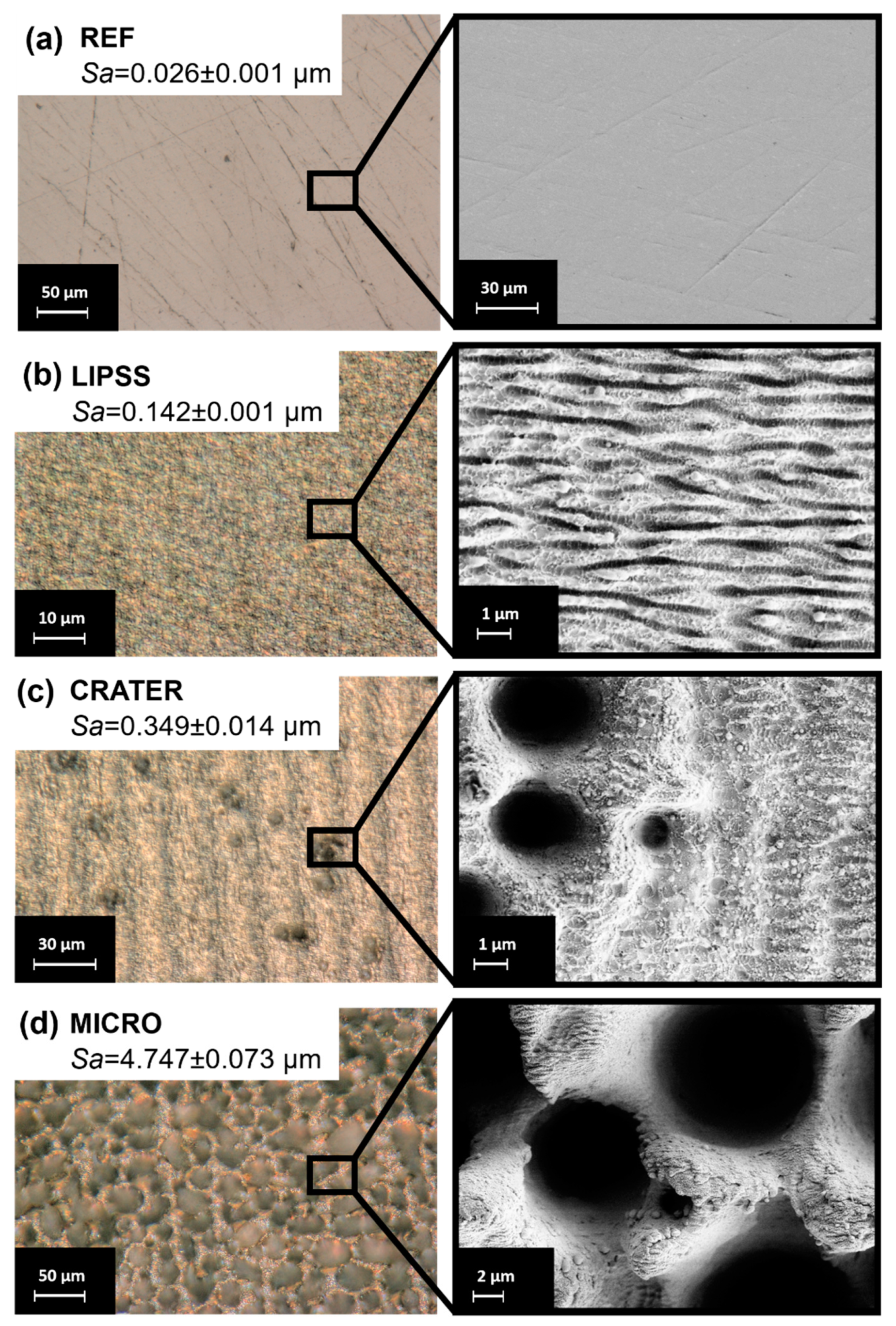 Micromachines 15 00491 g003