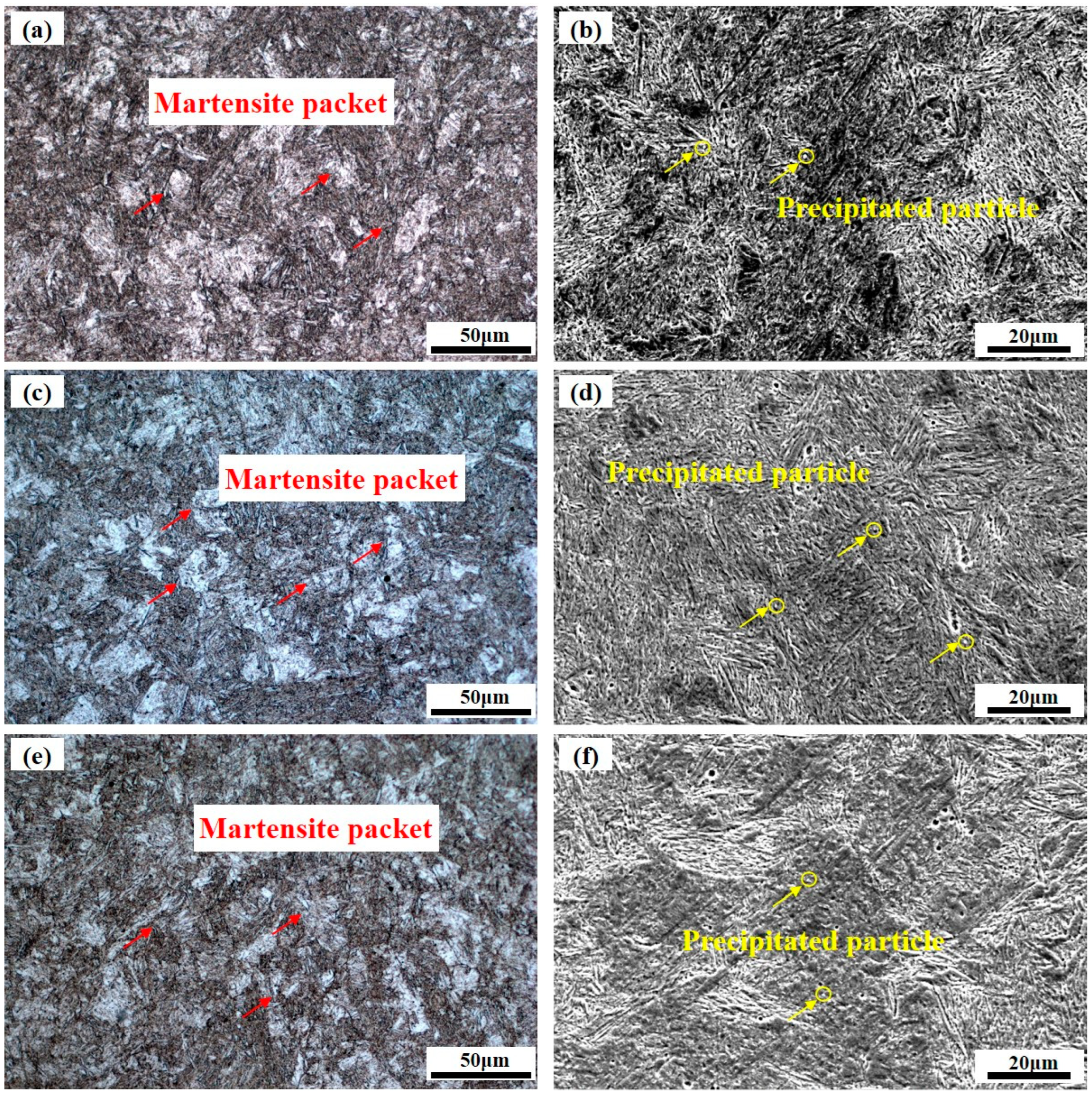 Micromachines 15 00494 g004