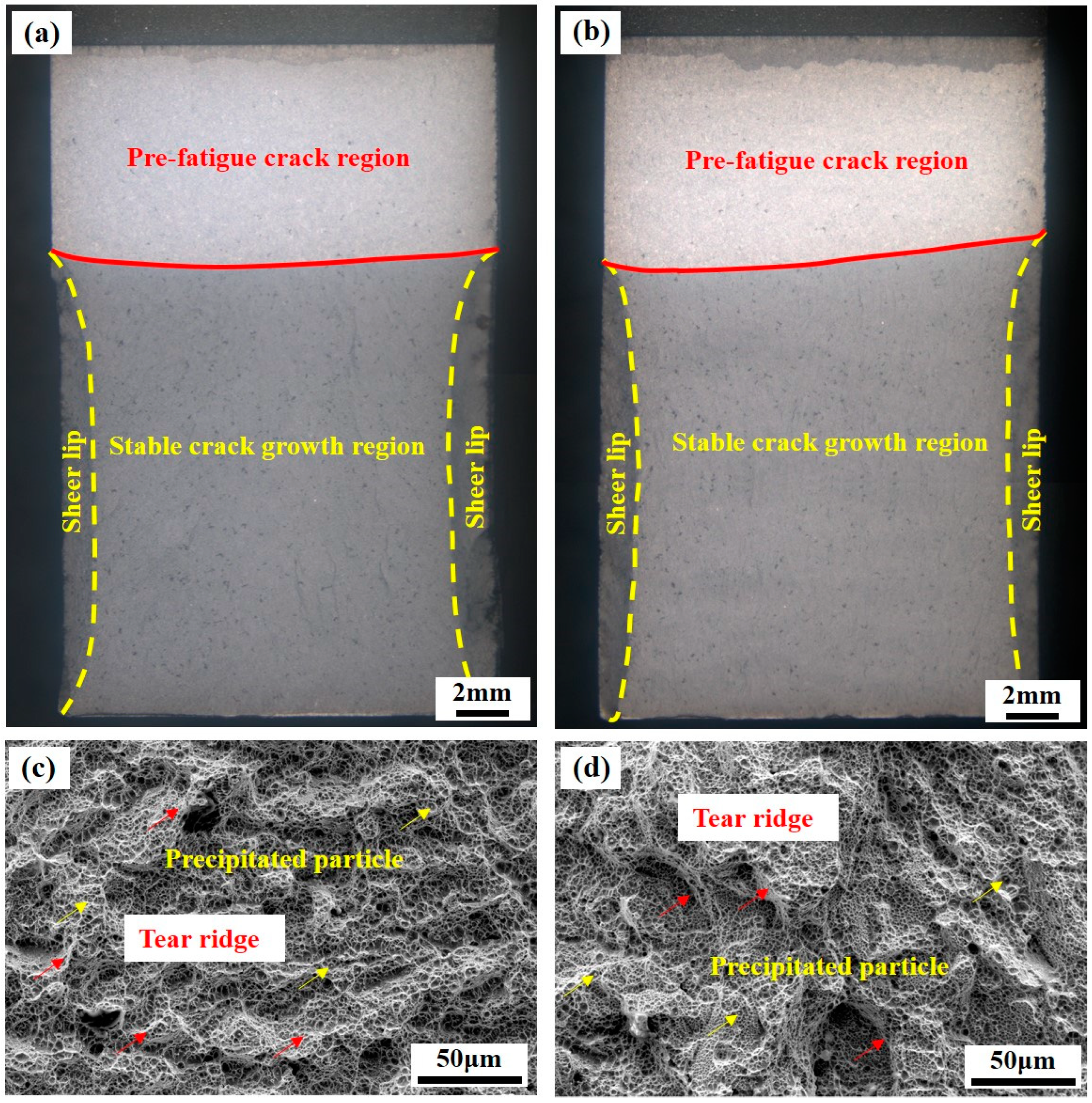 Micromachines 15 00494 g008