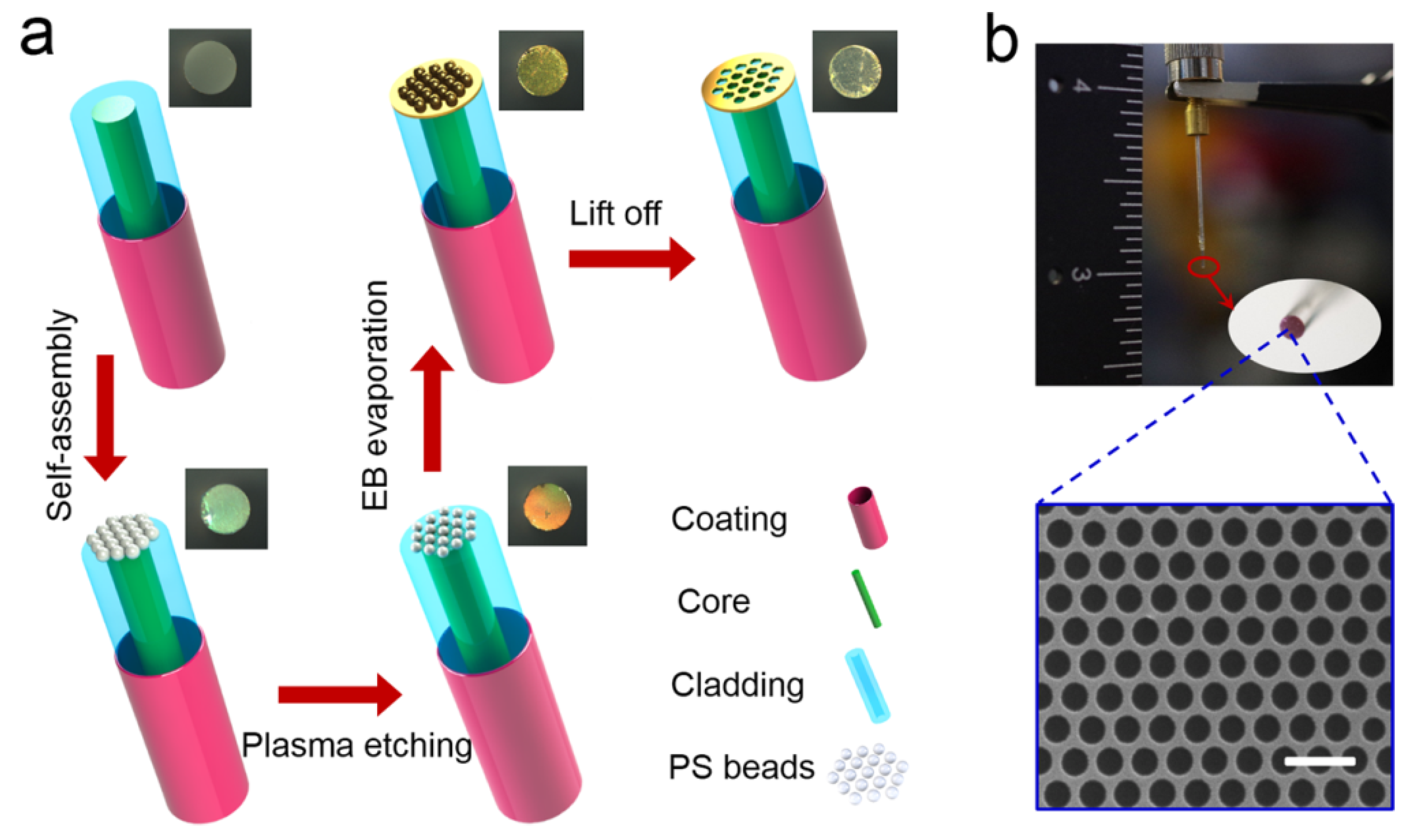 Micromachines 15 00502 g019 Micromachines 15 00502 g019