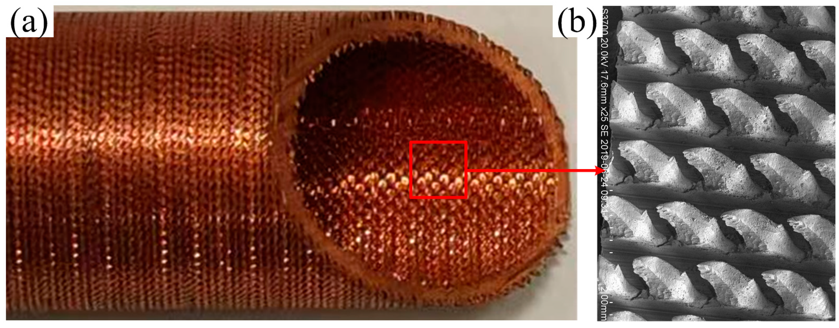 Micromachines 15 00513 g001