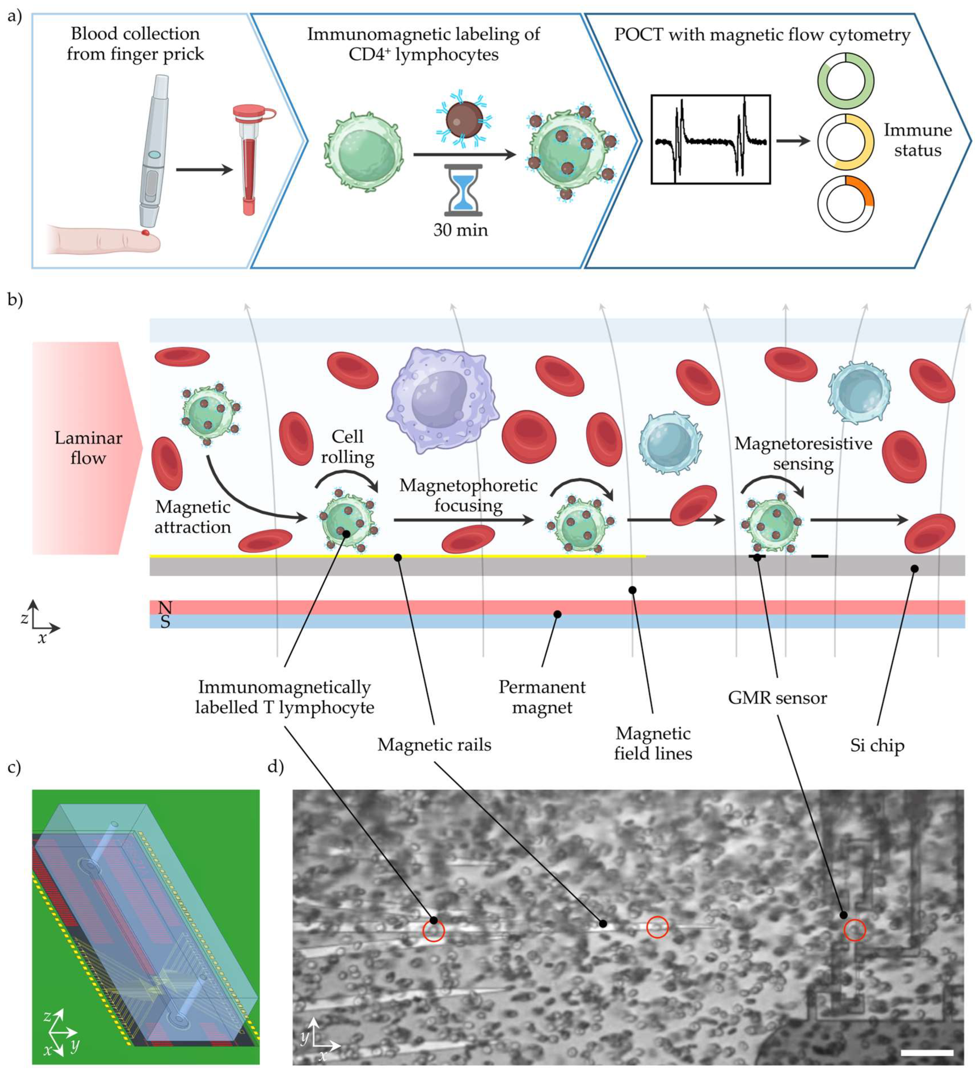 Micromachines 15 00520 g001