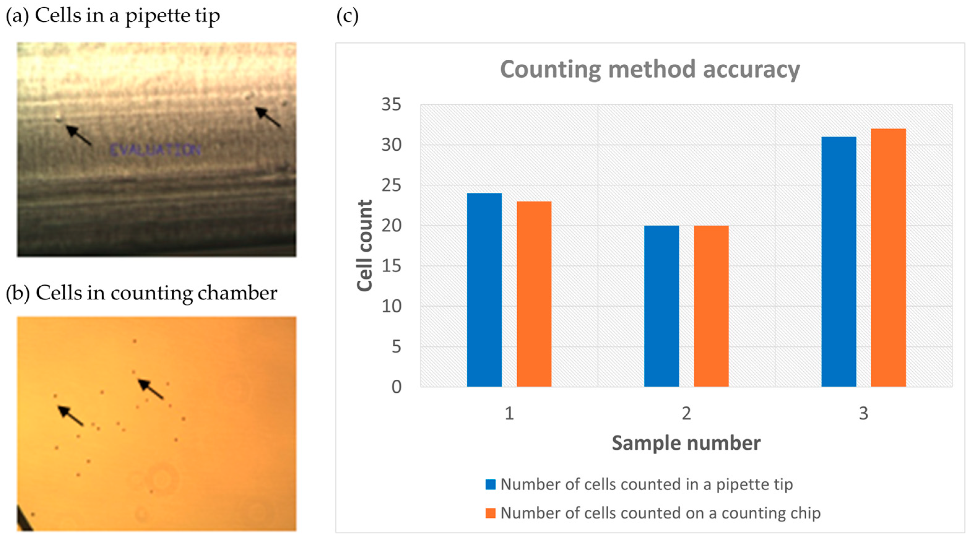 Micromachines 15 00521 g006