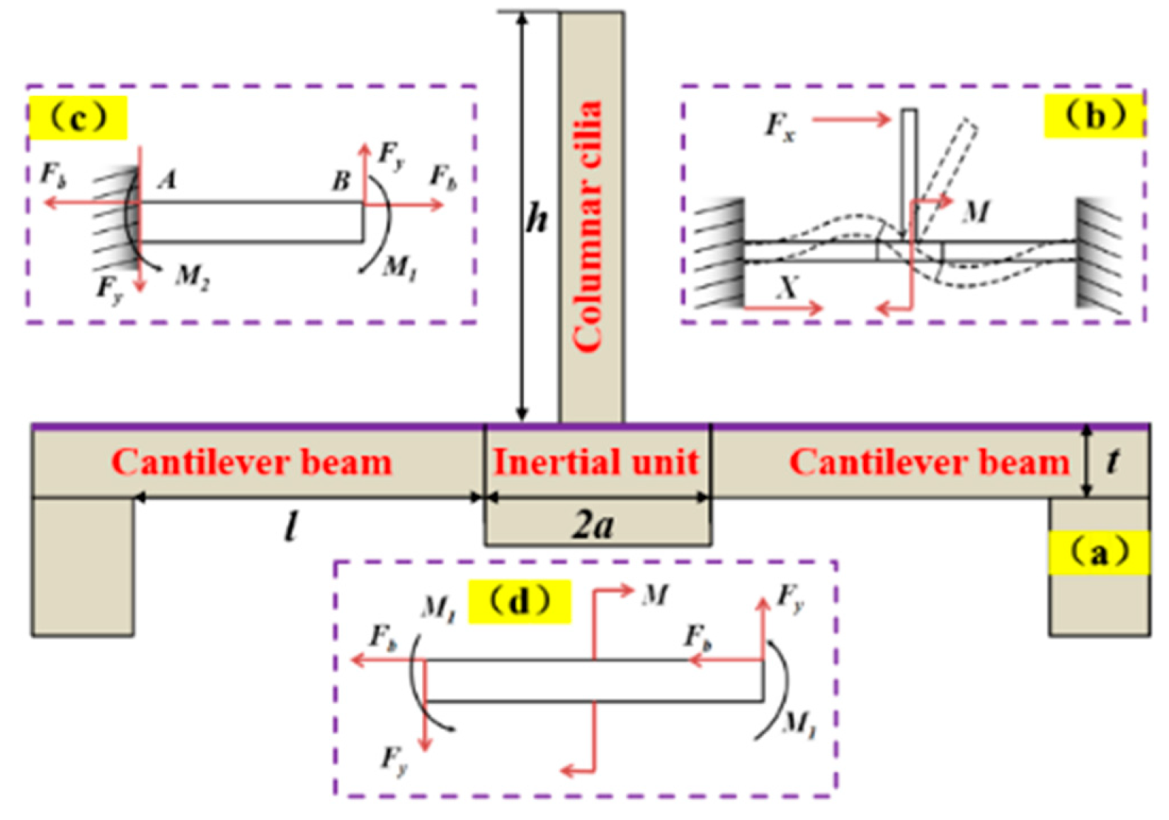 Micromachines 15 00524 g003
