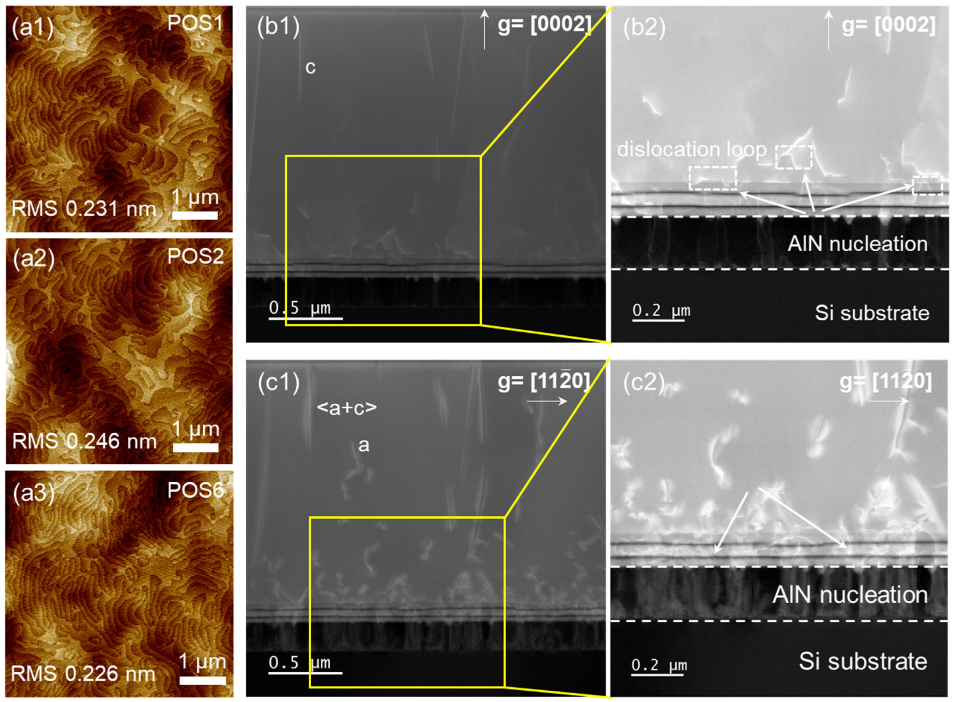 Micromachines 15 00536 g003