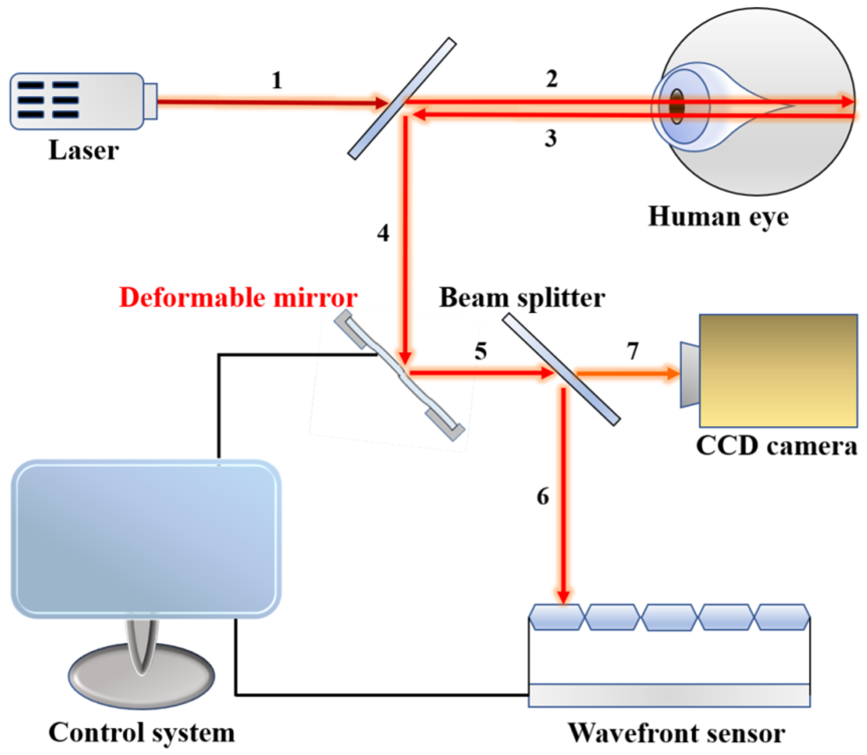 Micromachines 15 00539 g001