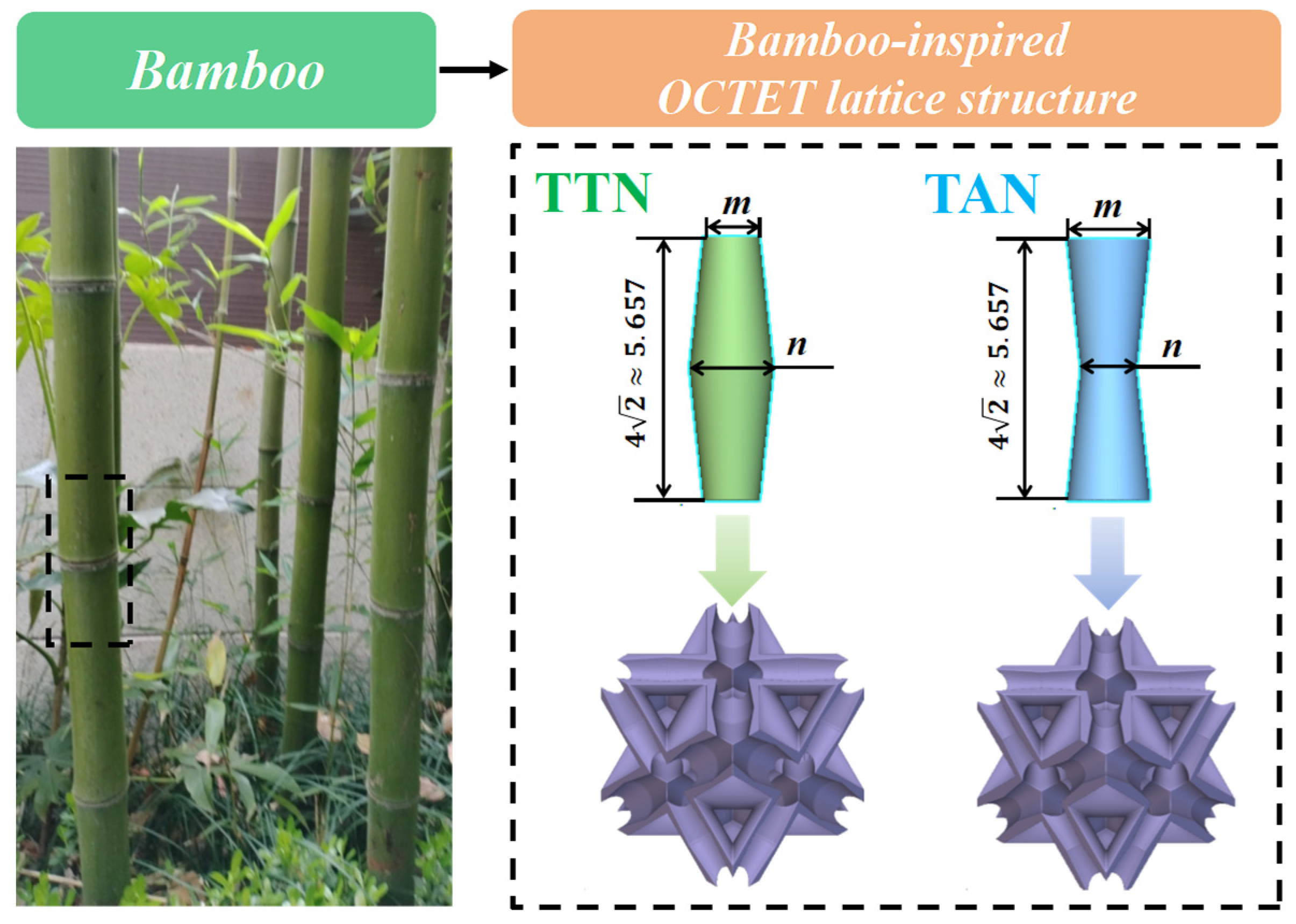 Micromachines 15 00583 g001