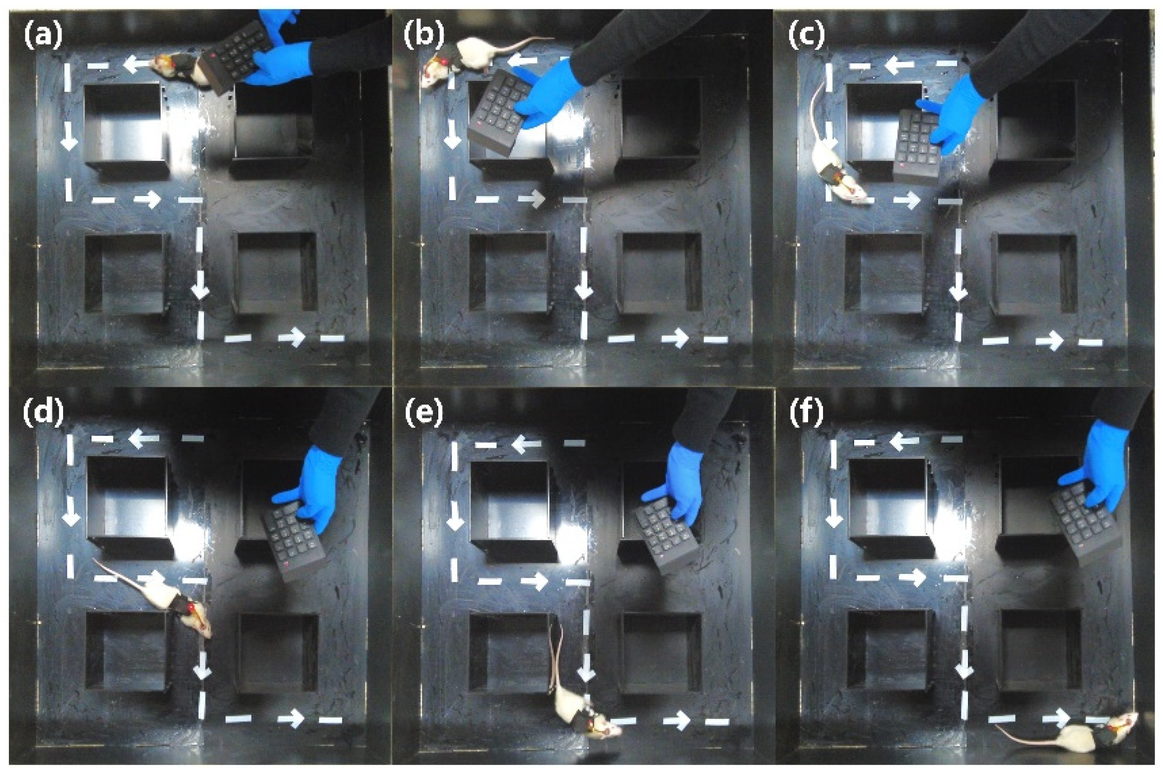 Micromachines 15 00587 g007