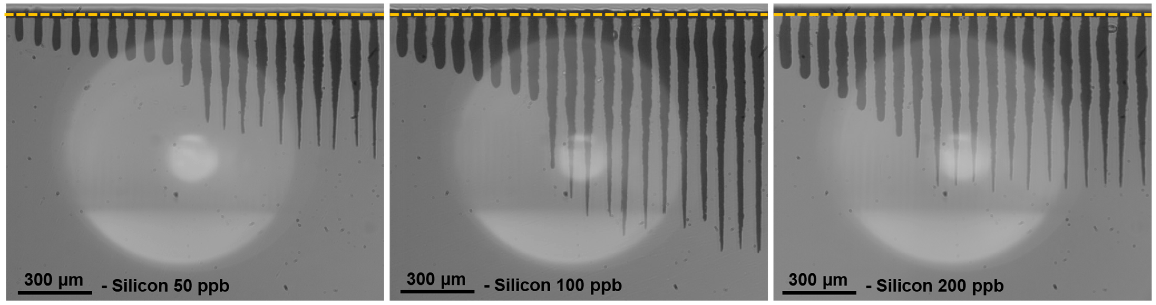Micromachines 15 00632 g006