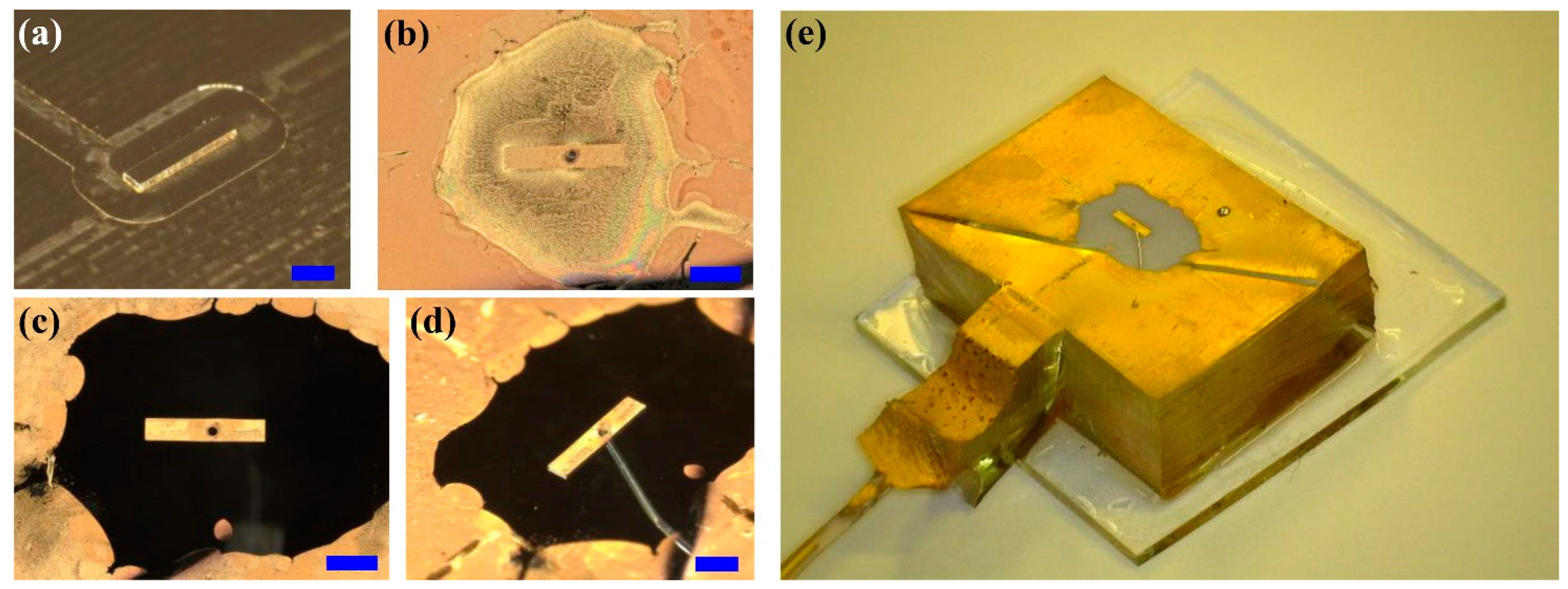 Micromachines 15 00634 g002