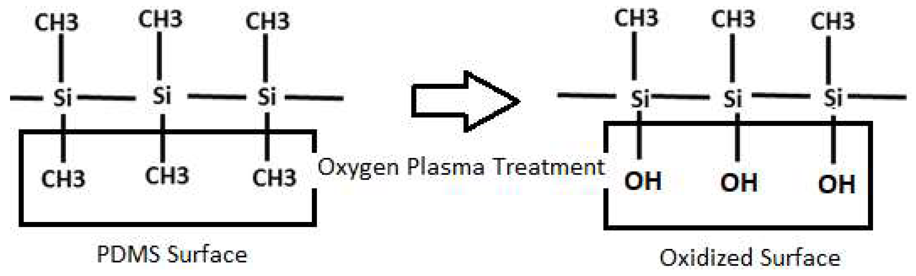 Micromachines 15 00670 g002