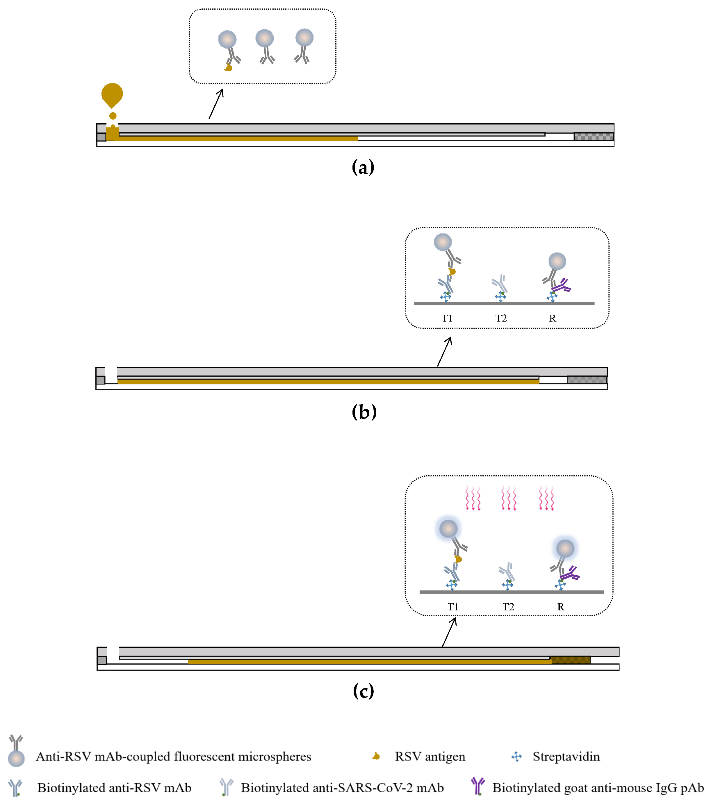 Micromachines 15 00685 g003