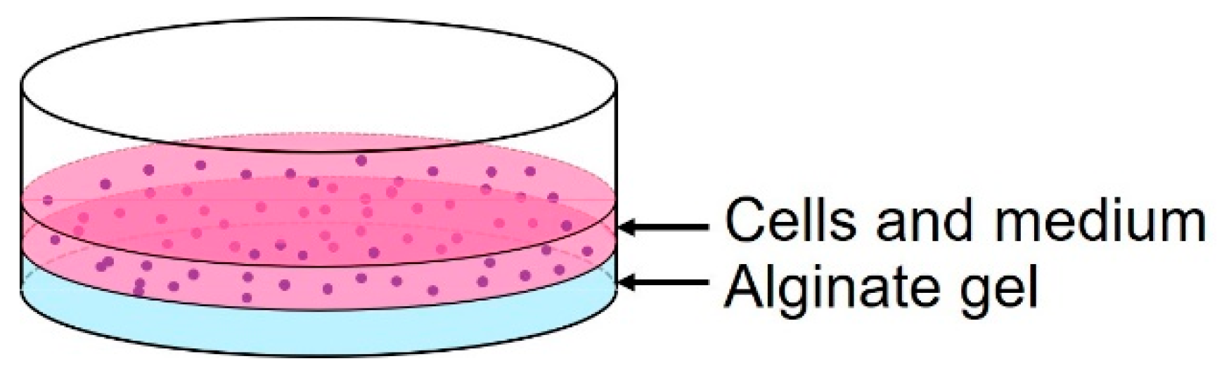 Micromachines 15 00689 g005