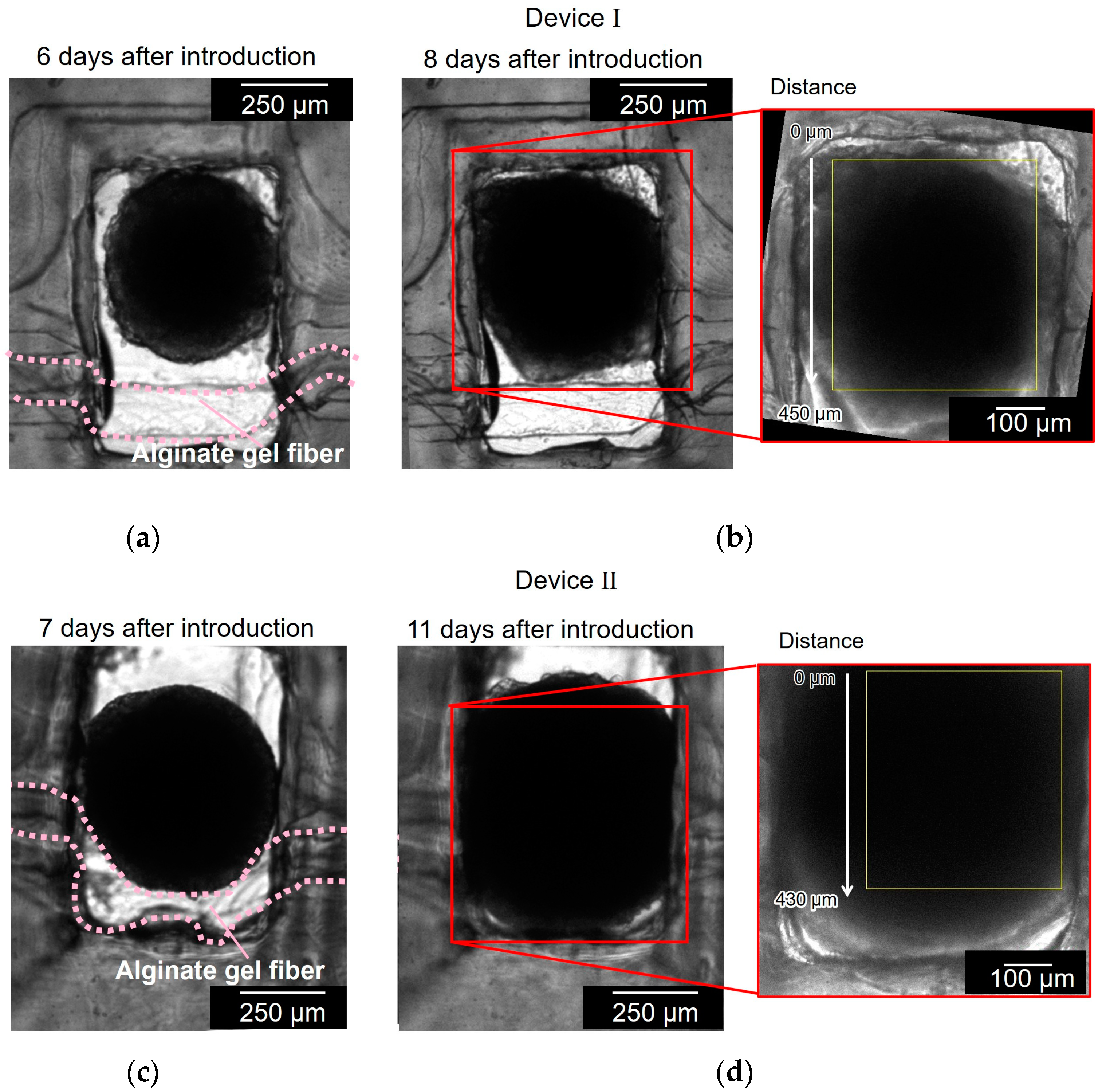 Micromachines 15 00689 g007