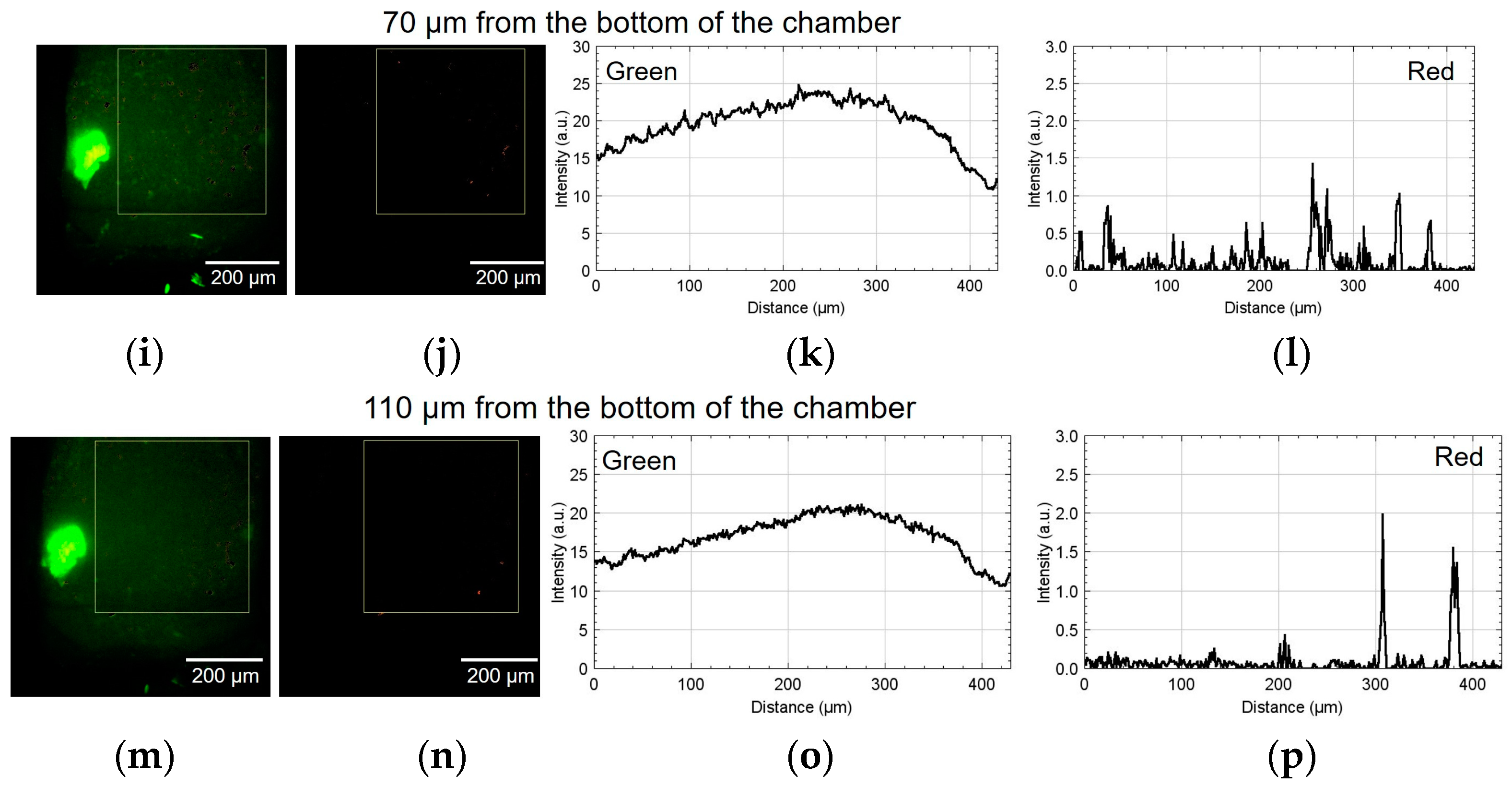 Micromachines 15 00689 g009b