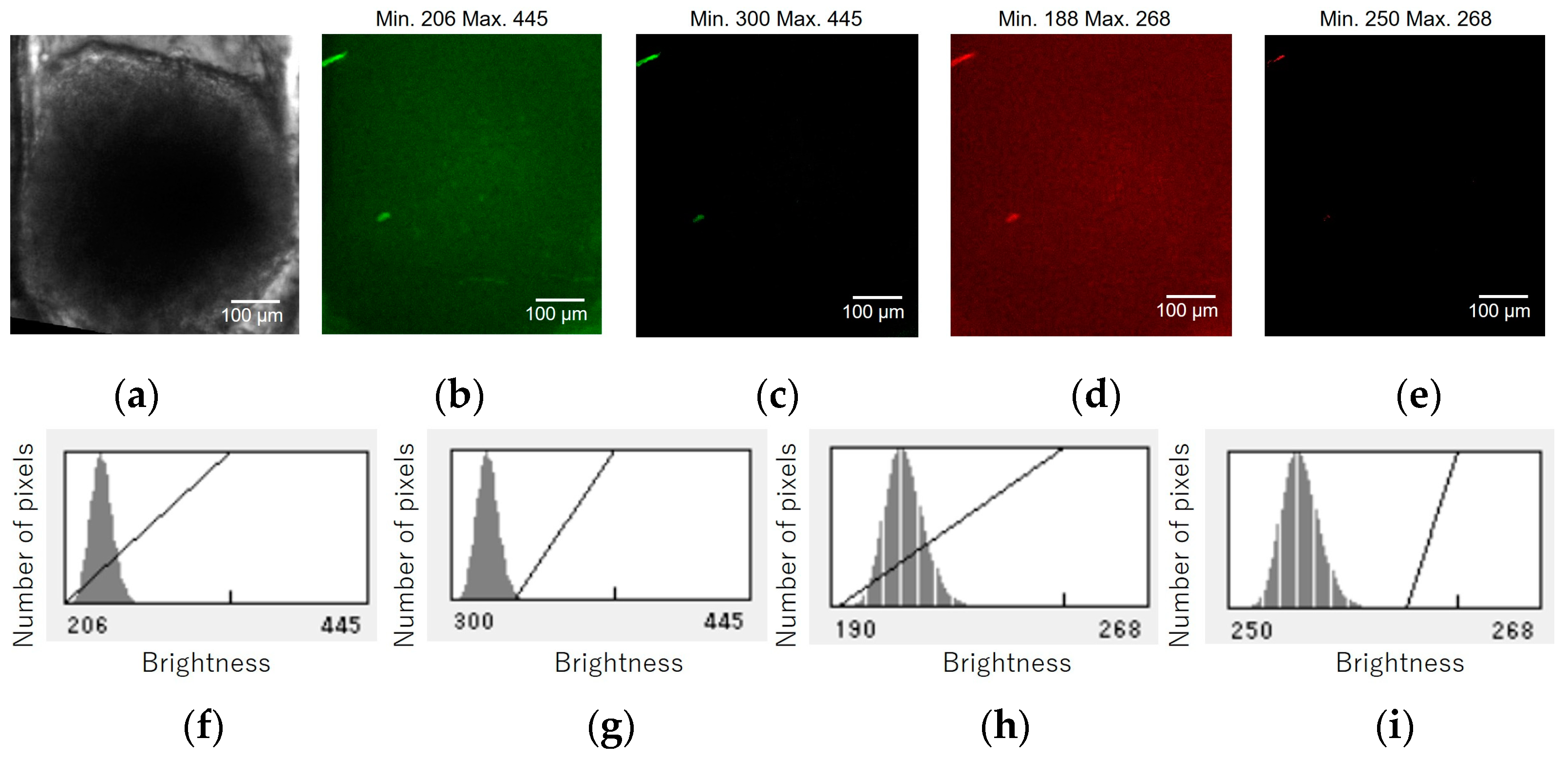 Micromachines 15 00689 g0a1