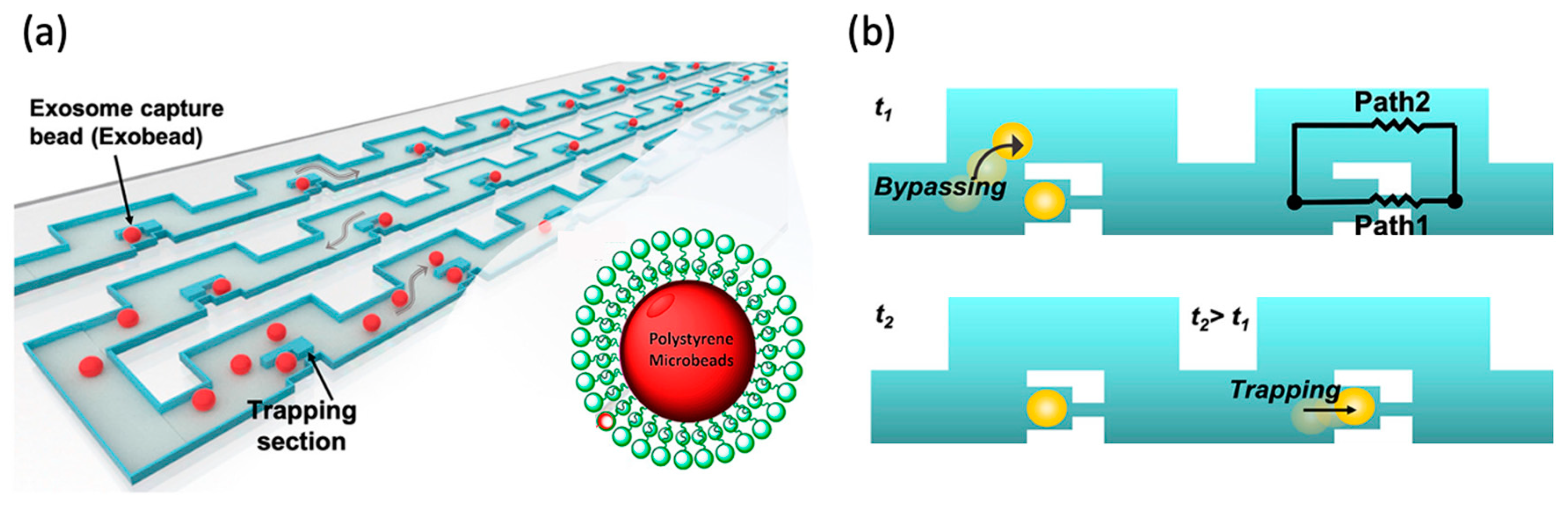 Micromachines 15 00699 g001 Micromachines 15 00699 g001