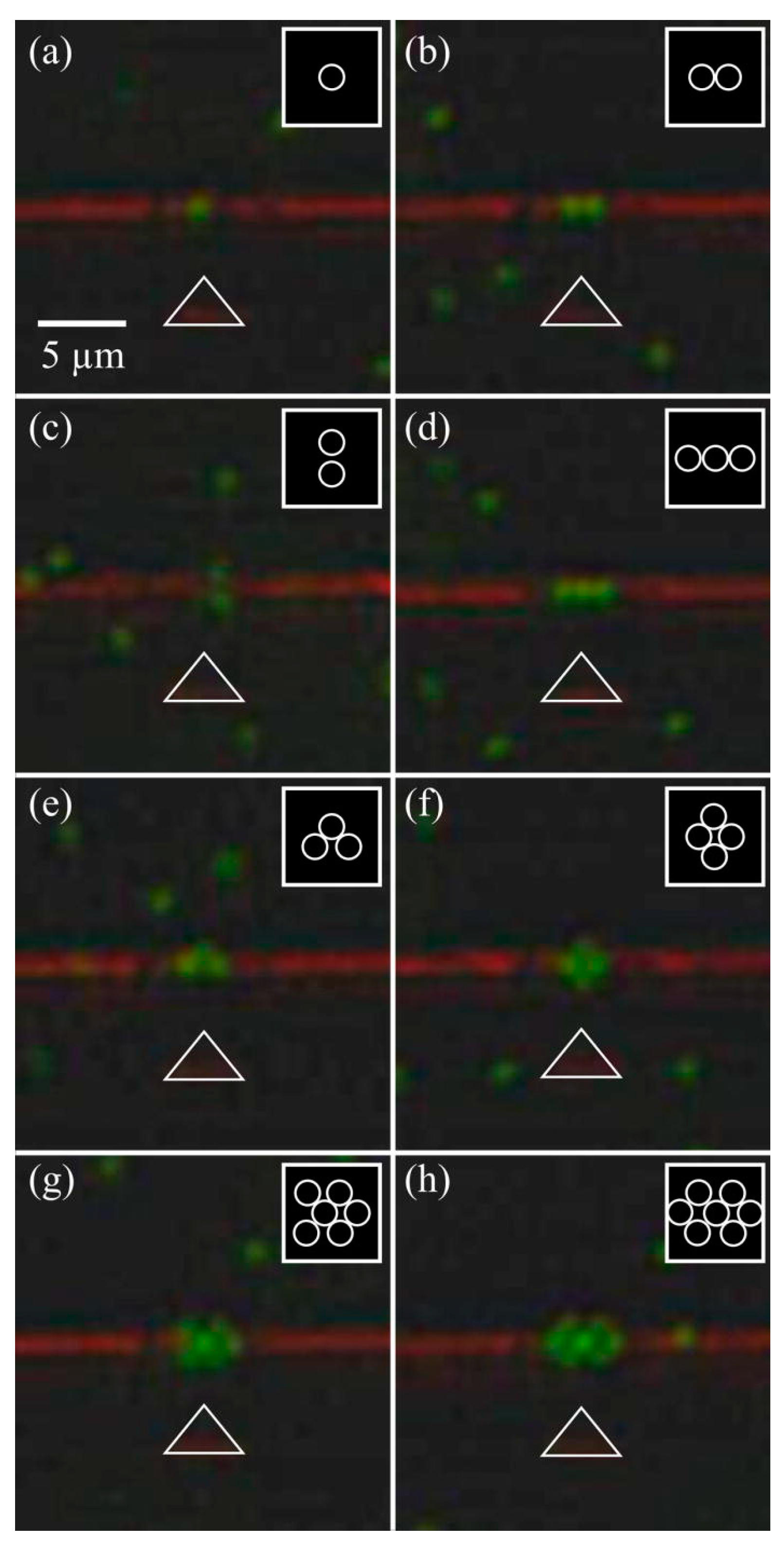 Micromachines 15 00699 g005 Micromachines 15 00699 g005