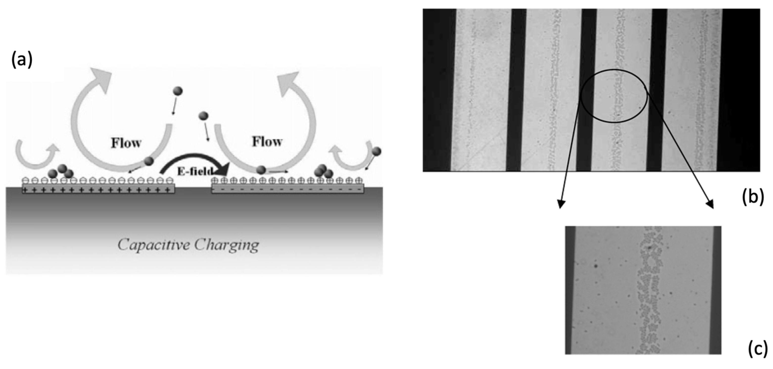 Micromachines 15 00699 g010 Micromachines 15 00699 g010