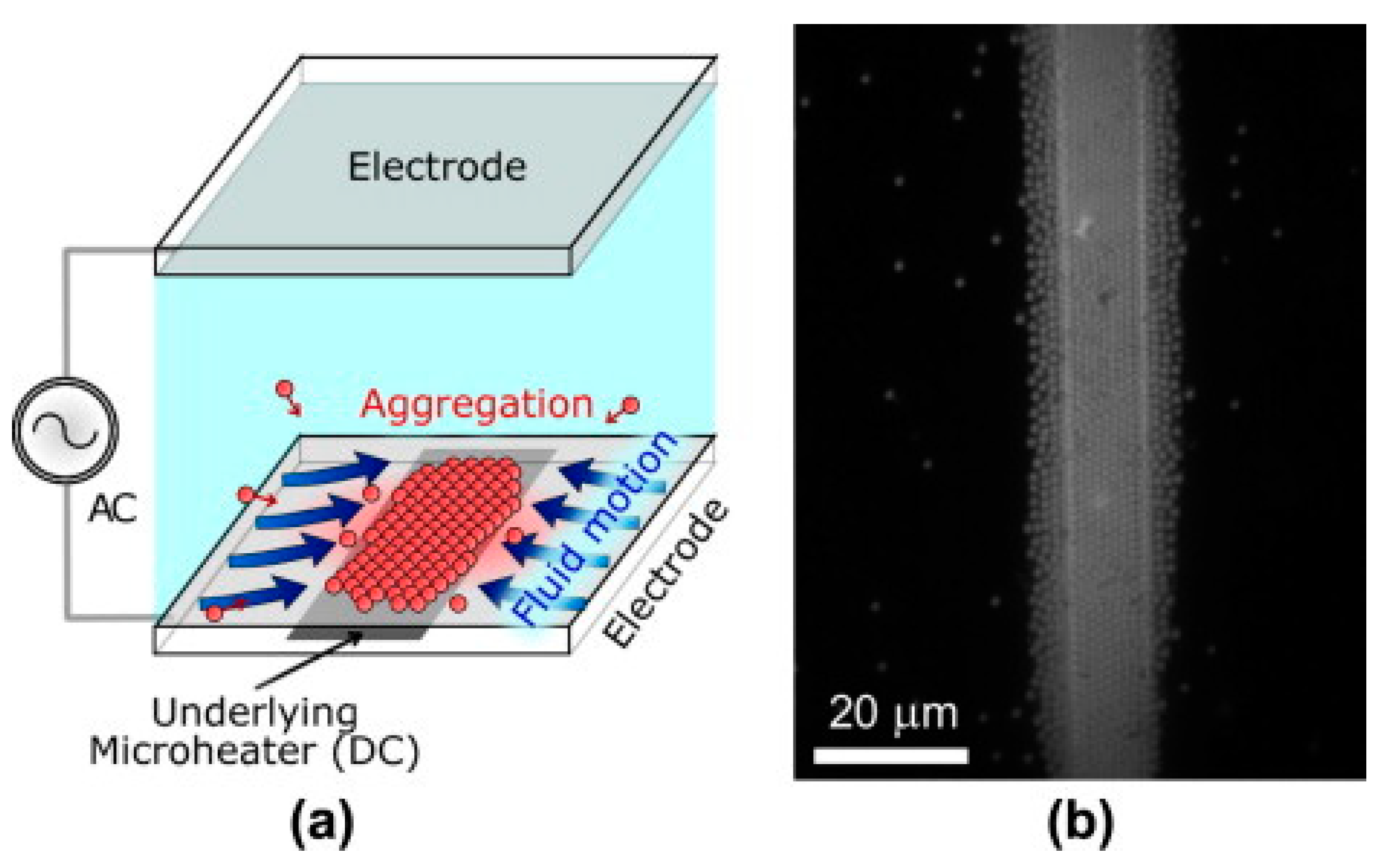 Micromachines 15 00699 g012 Micromachines 15 00699 g012