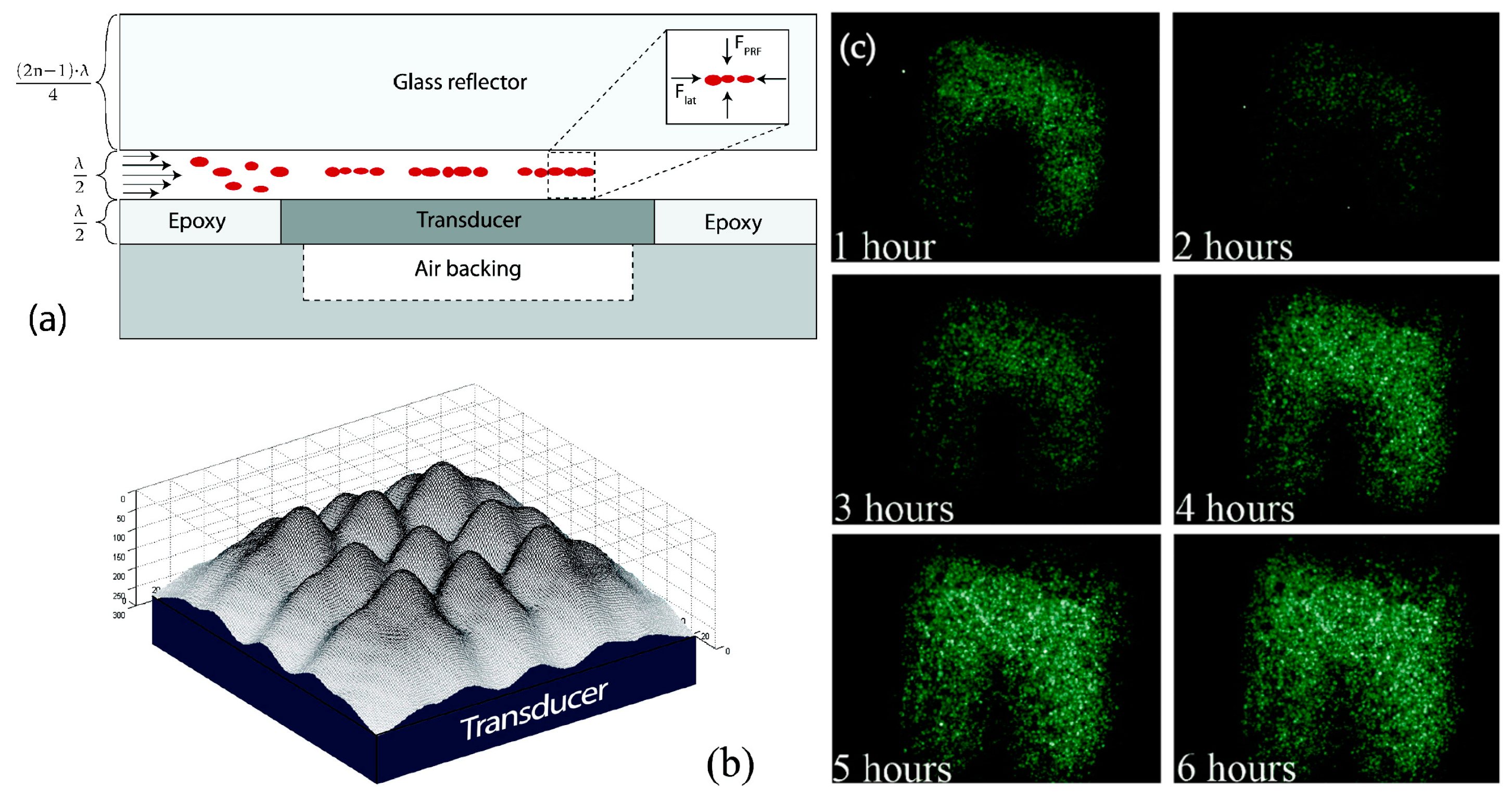 Micromachines 15 00699 g016 Micromachines 15 00699 g016